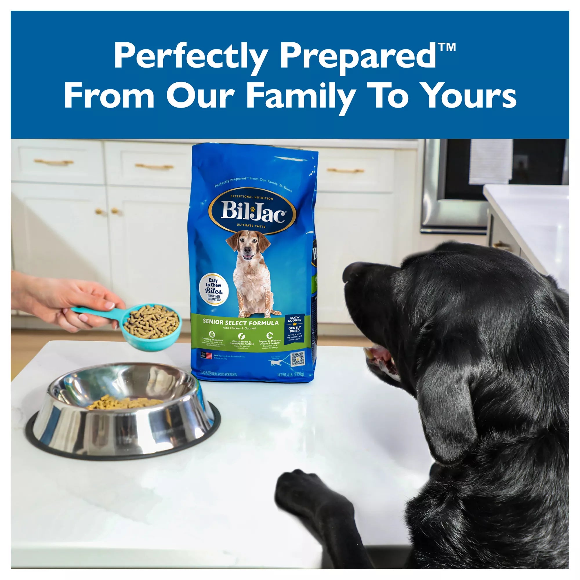 Bil-Jac Senior Select Formula Senior Dry Dog Food