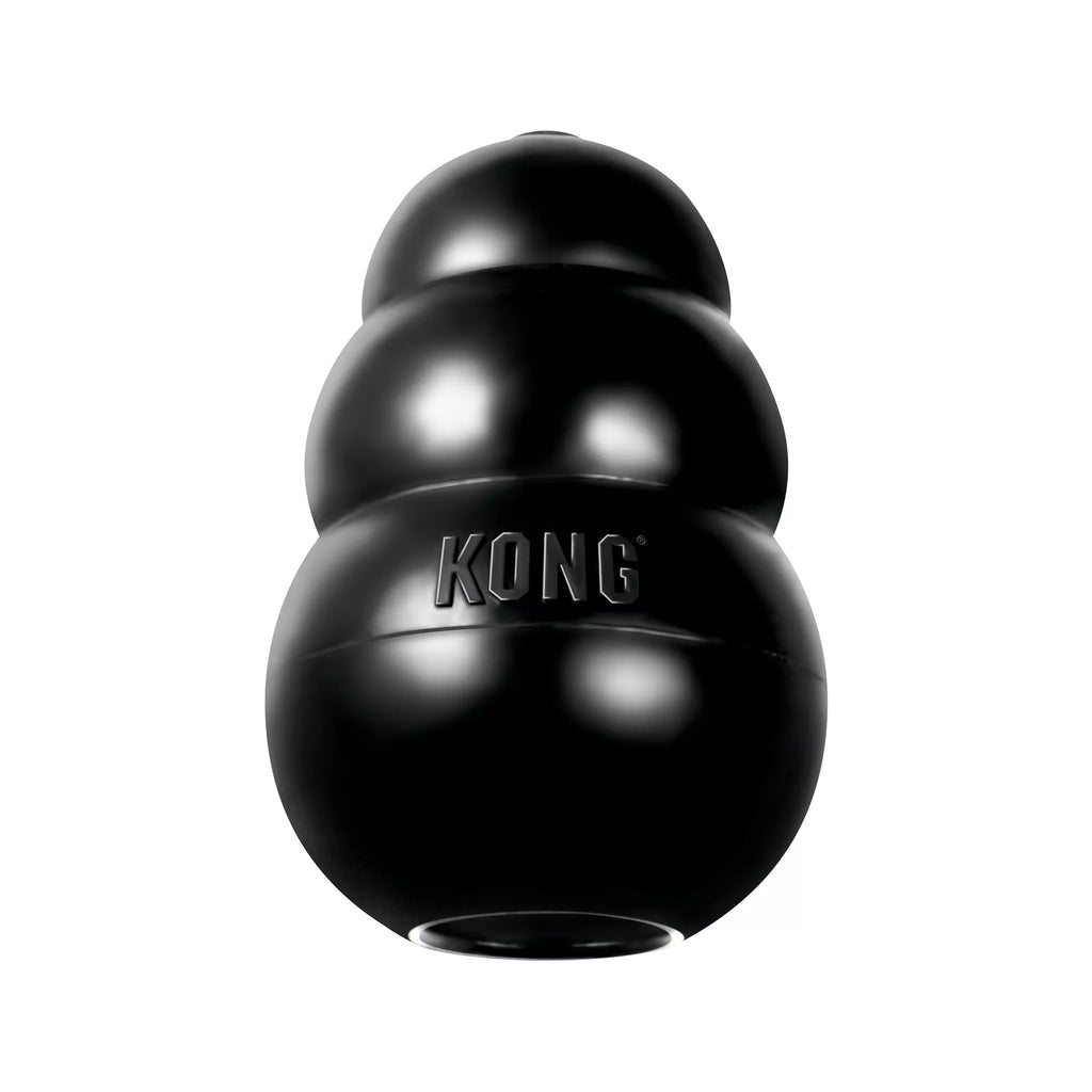 KONG Extreme Dog Toy -Treat Dispensing