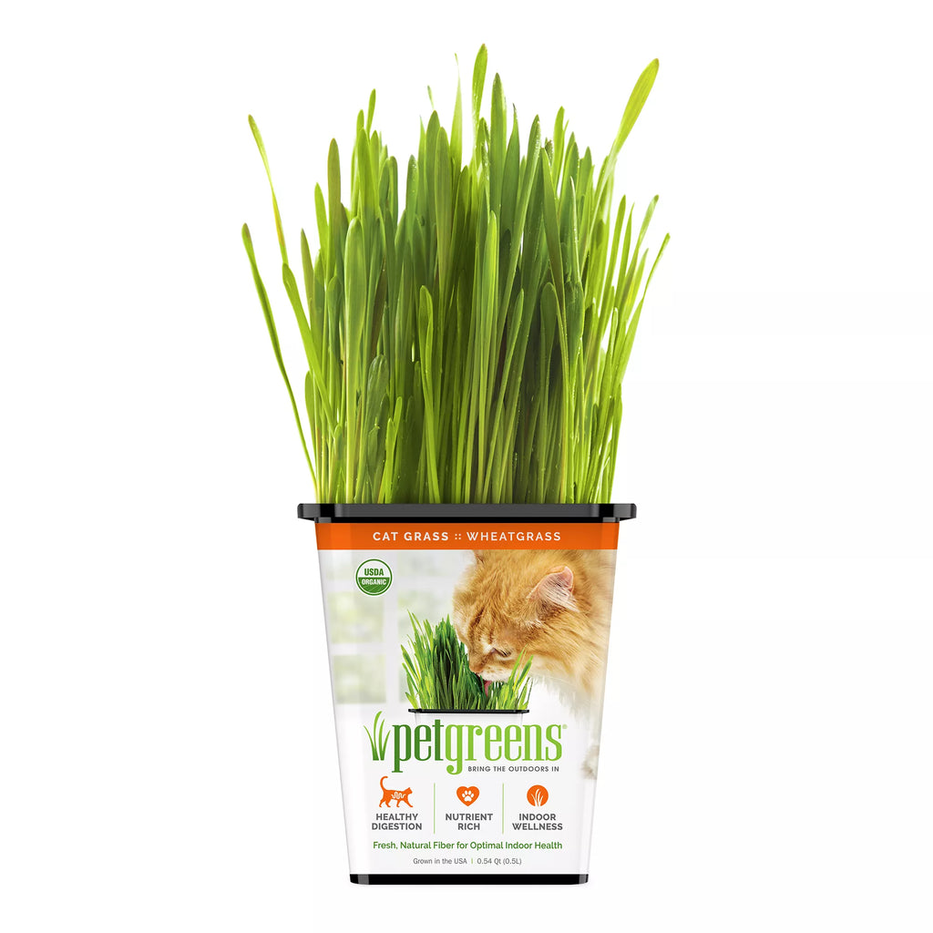 Pet Greens 100% Organic Wheatgrass Live Cat Grass