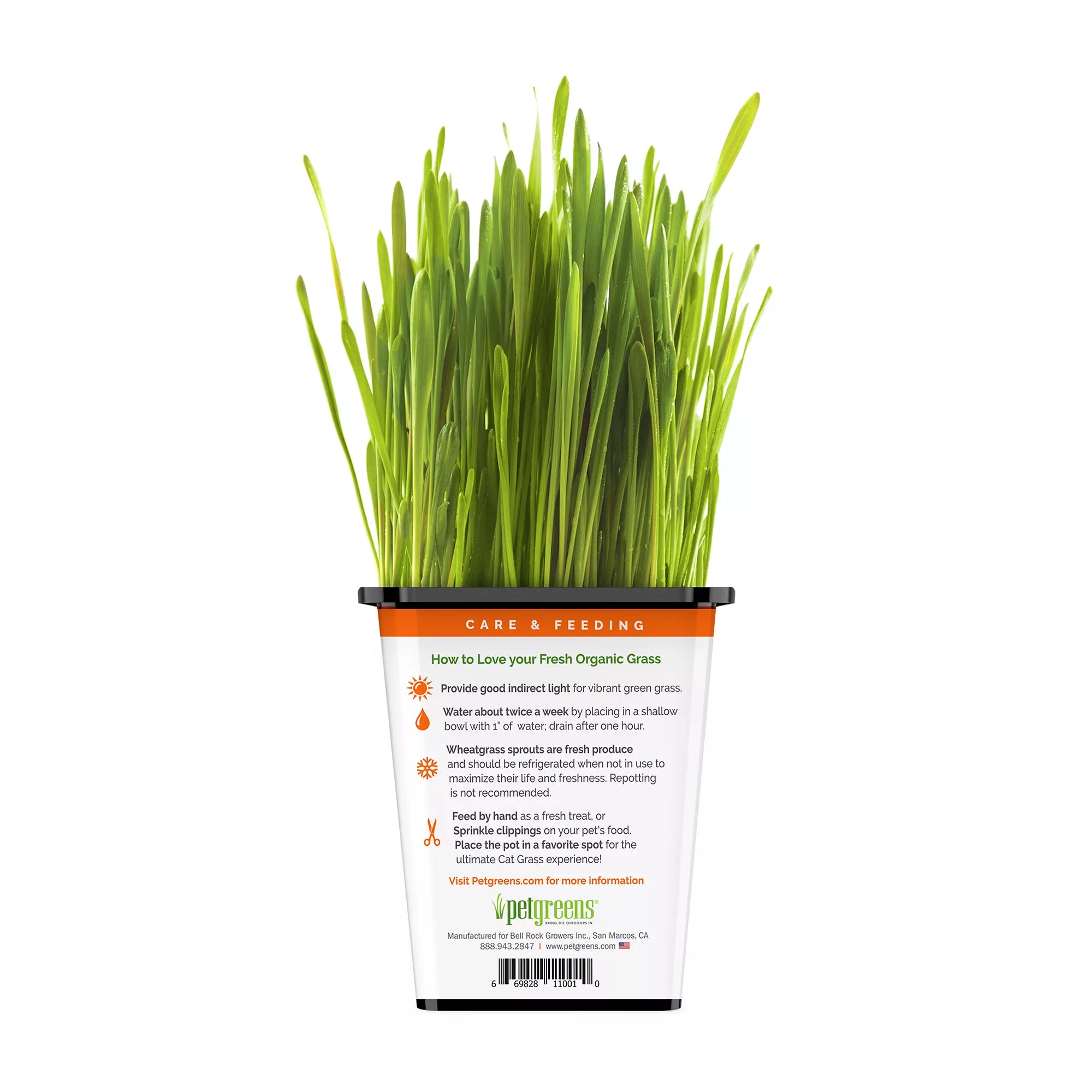 Pet Greens 100% Organic Wheatgrass Live Cat Grass