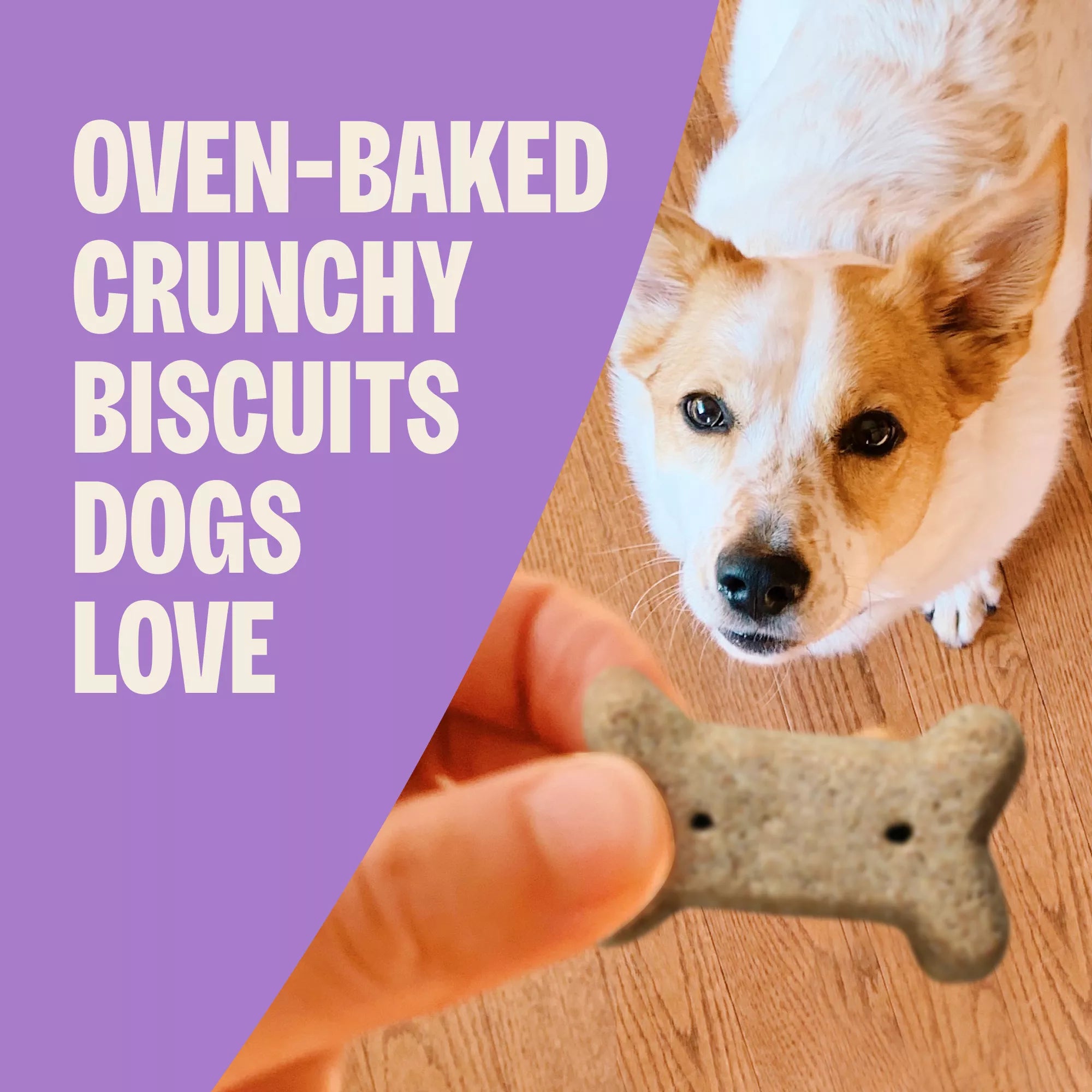 Old Mother Hubbard P-Nuttier Small Biscuit Dog Treats - Natural Pet Food