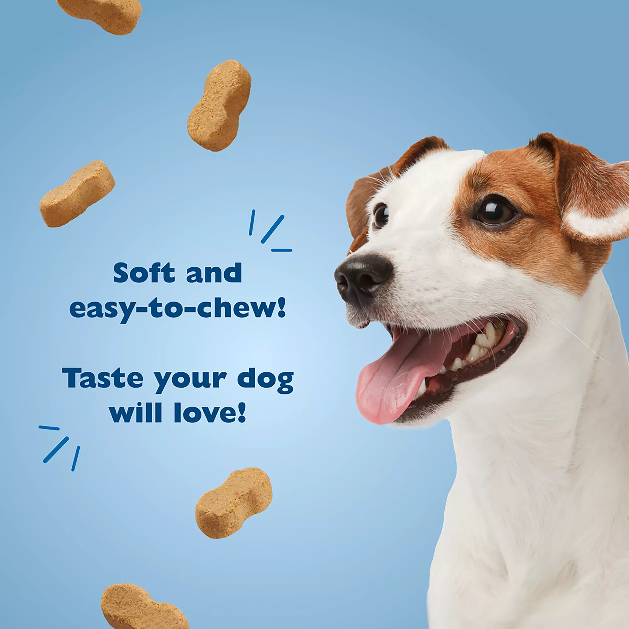 Bil-Jac Gooberlicious Dog Treat