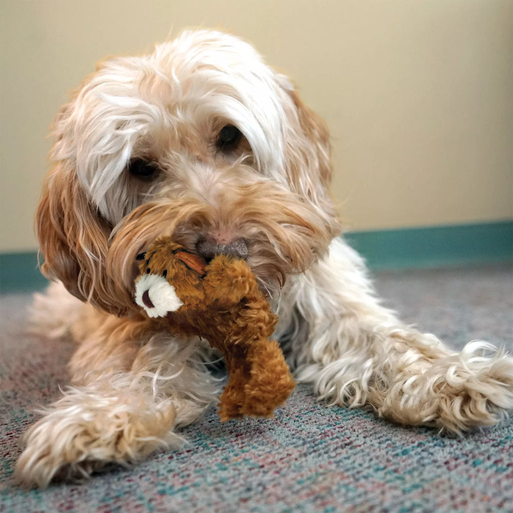 KONG Teddy Bear Dog Toy - Plush, Squeaker