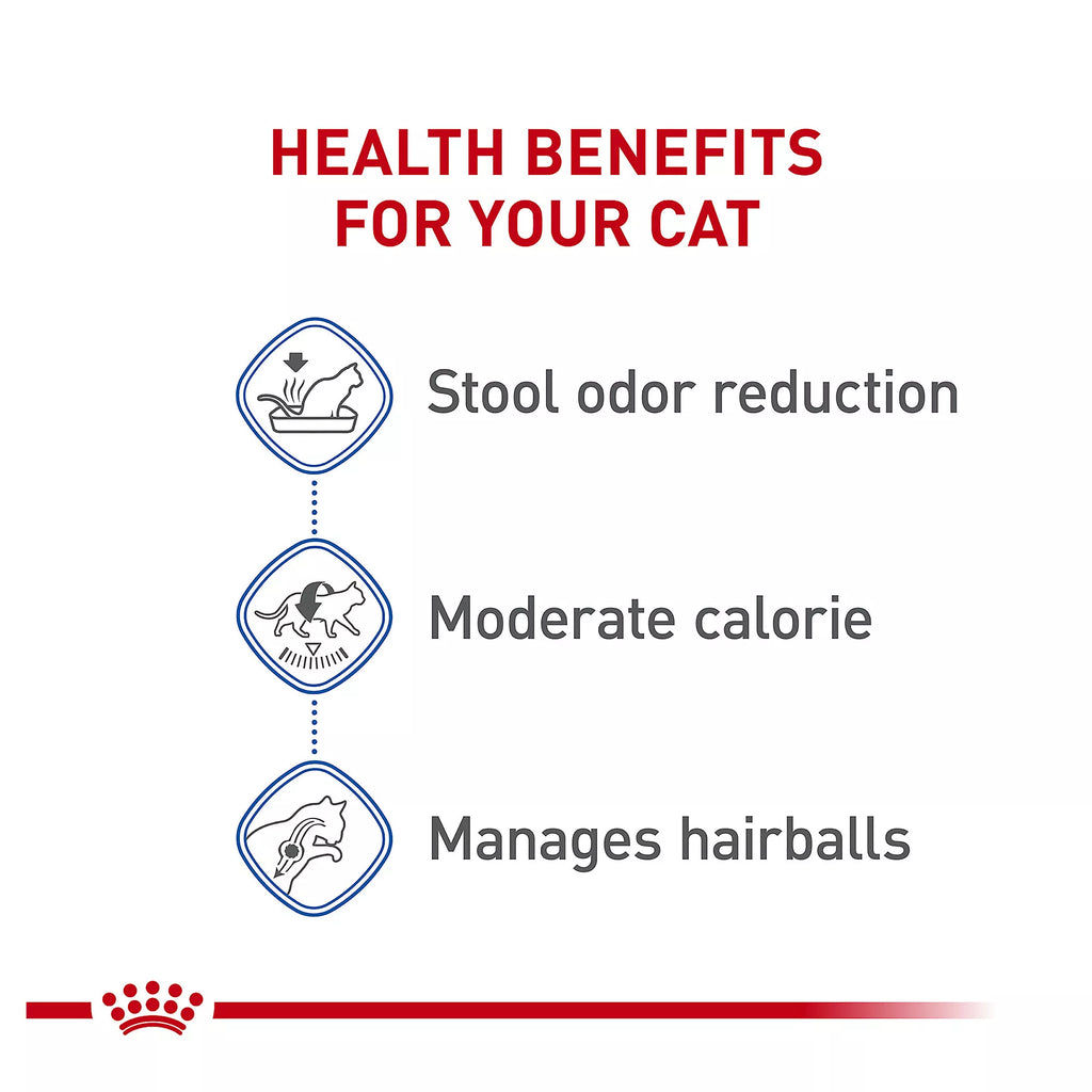 Royal Canin Feline Health Nutrition Indoor Adult Dry Cat Food
