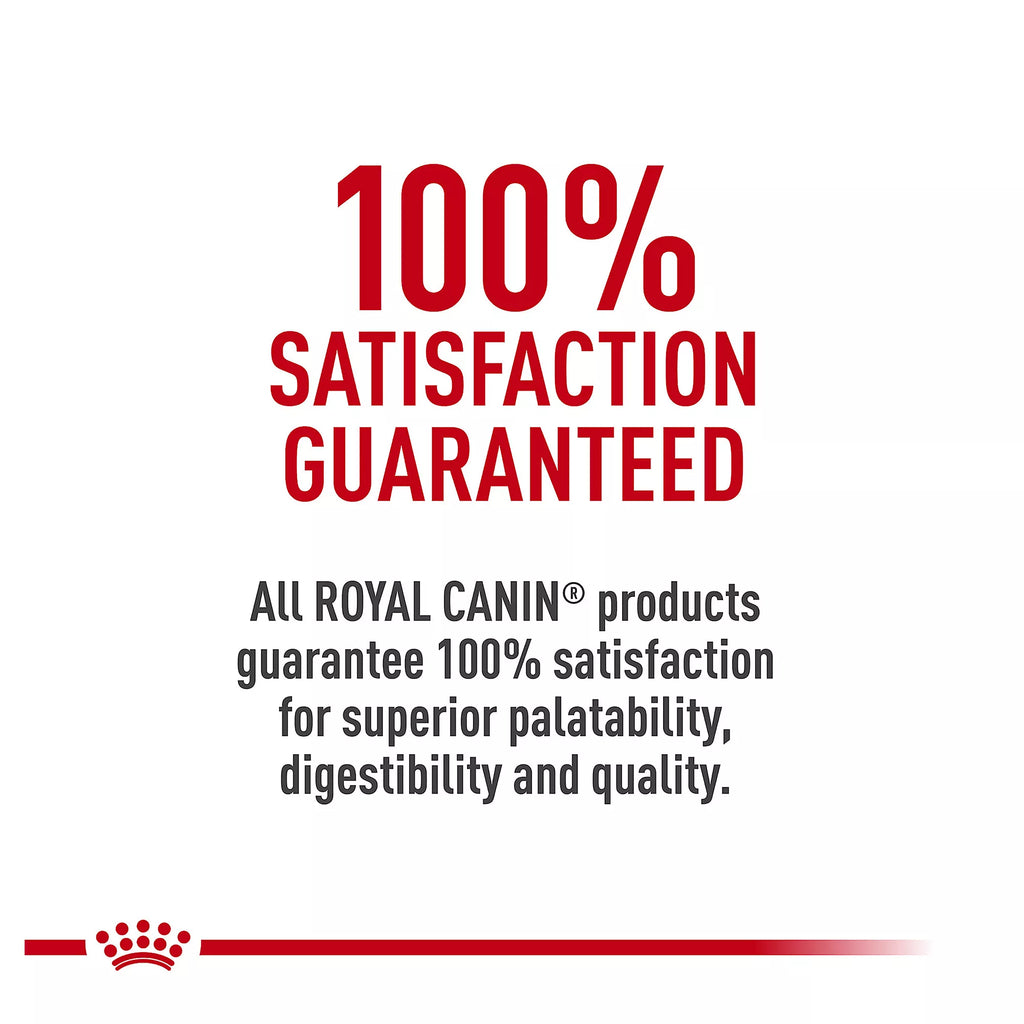 Royal Canin Feline Health Nutrition Indoor Adult Dry Cat Food