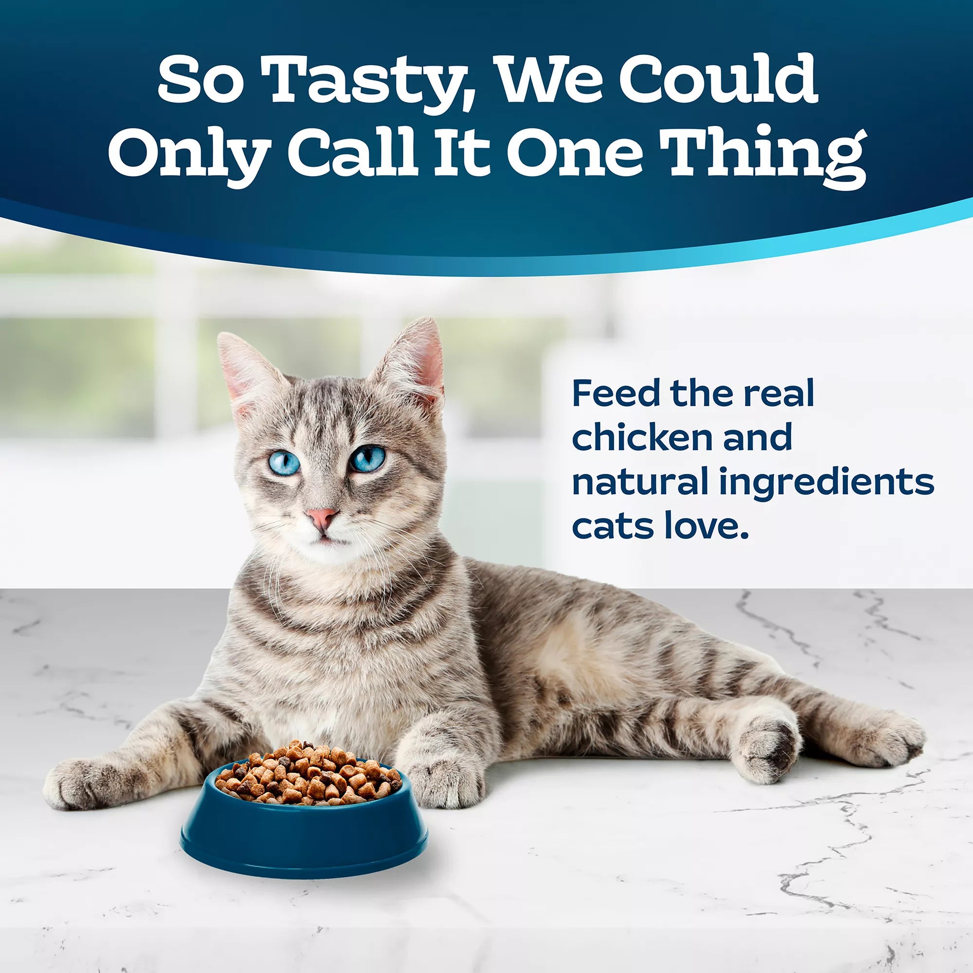 Blue Buffalo Tastefuls  Adult Dry Cat Food - Natural Pet Food, Chicken