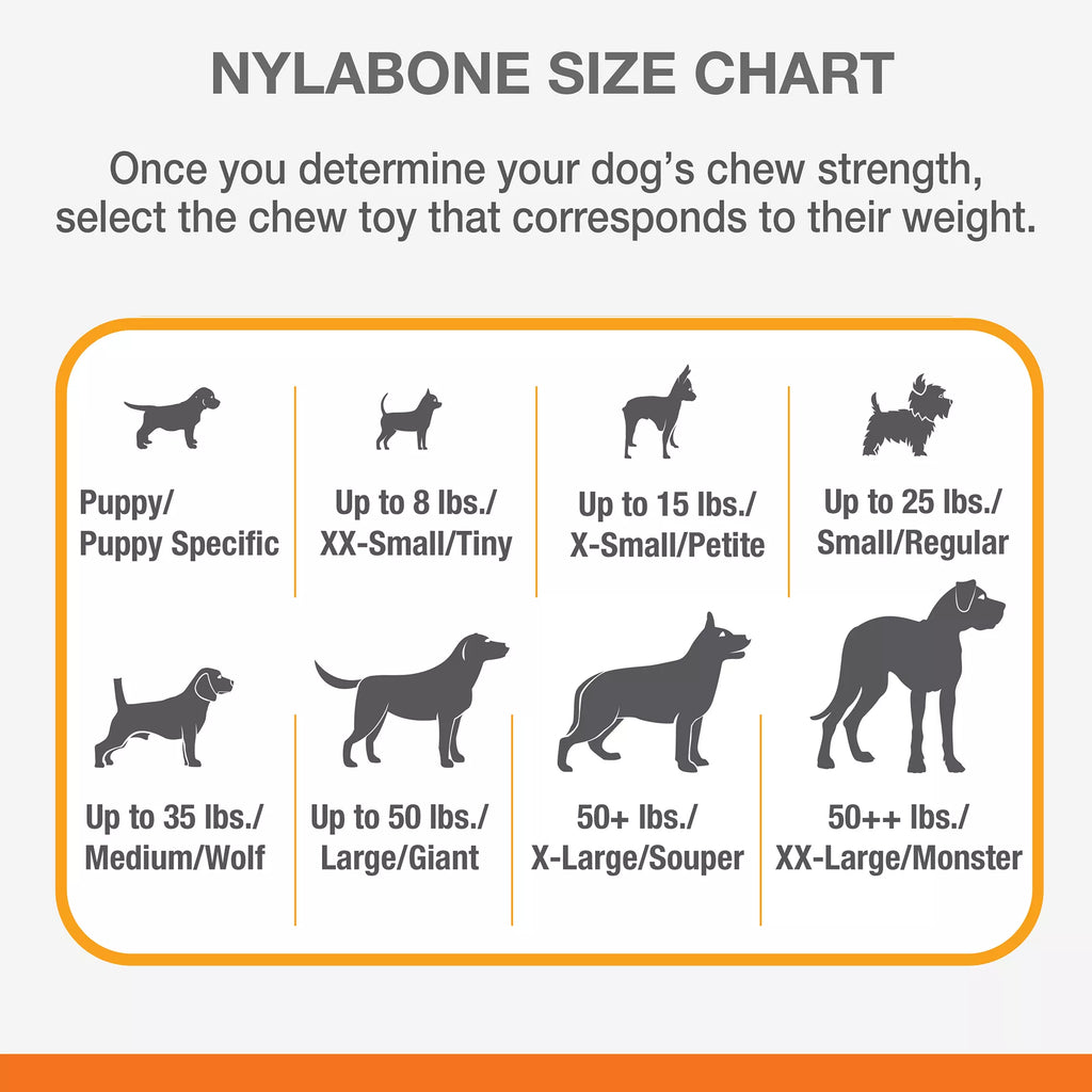 Nylabone Puppy Teething Keys Chew Dog Toy