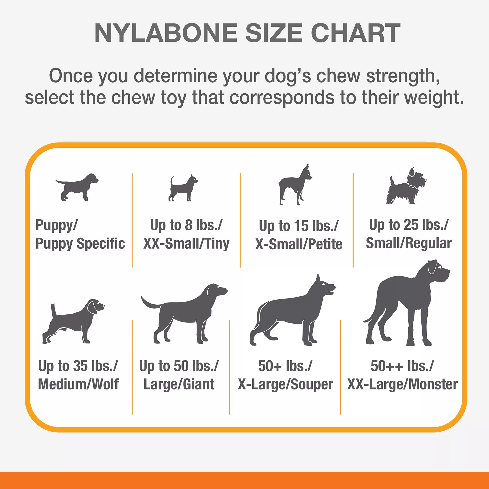 Nylabone Puppy Teething Keys Chew Dog Toy