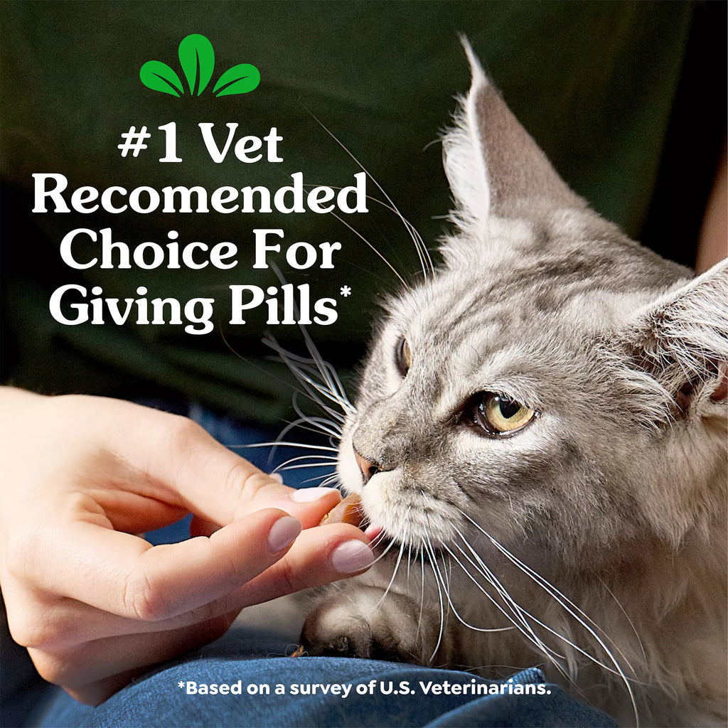 Greenies Feline Pill Pockets Cat Treats - Salmon
