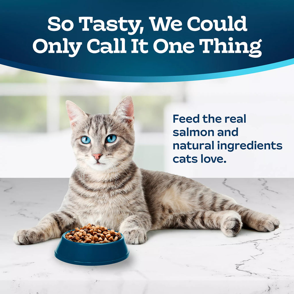 Blue Buffalo Tastefuls  Adult Dry Cat Food - Natural Pet Food, Salmon