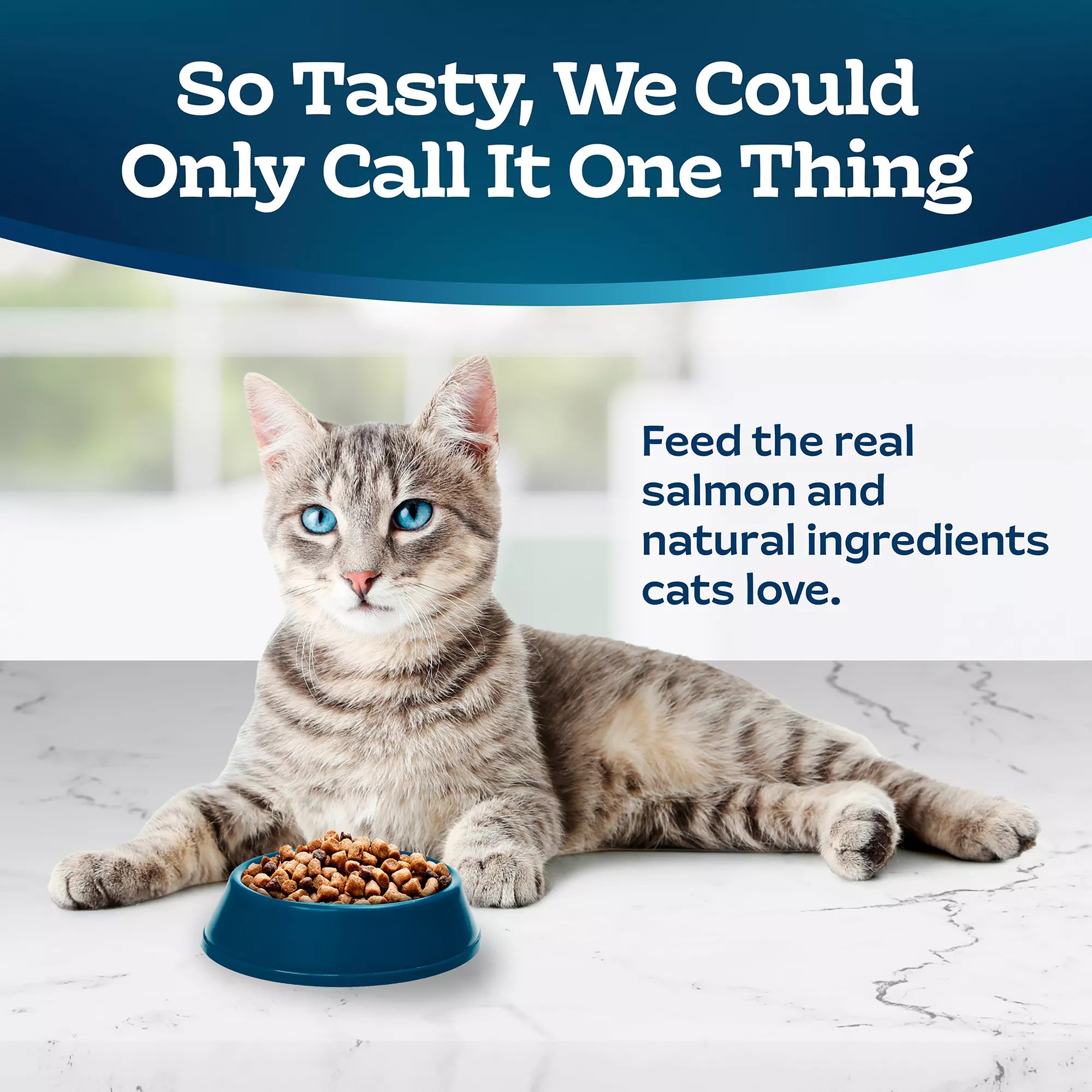 Blue Buffalo Tastefuls  Adult Dry Cat Food - Natural Pet Food, Salmon