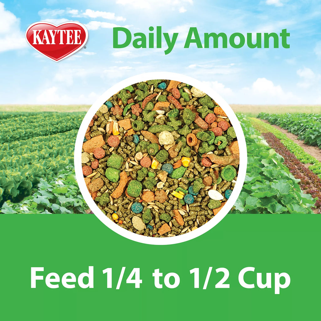 KAYTEE Fiesta Guinea Pig Gourmet Variety Diet