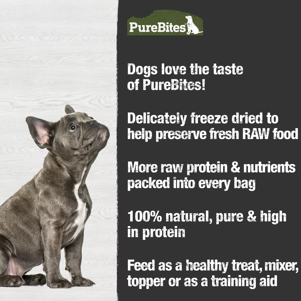 Purebites Freeze Dried Dog Treat - Beef