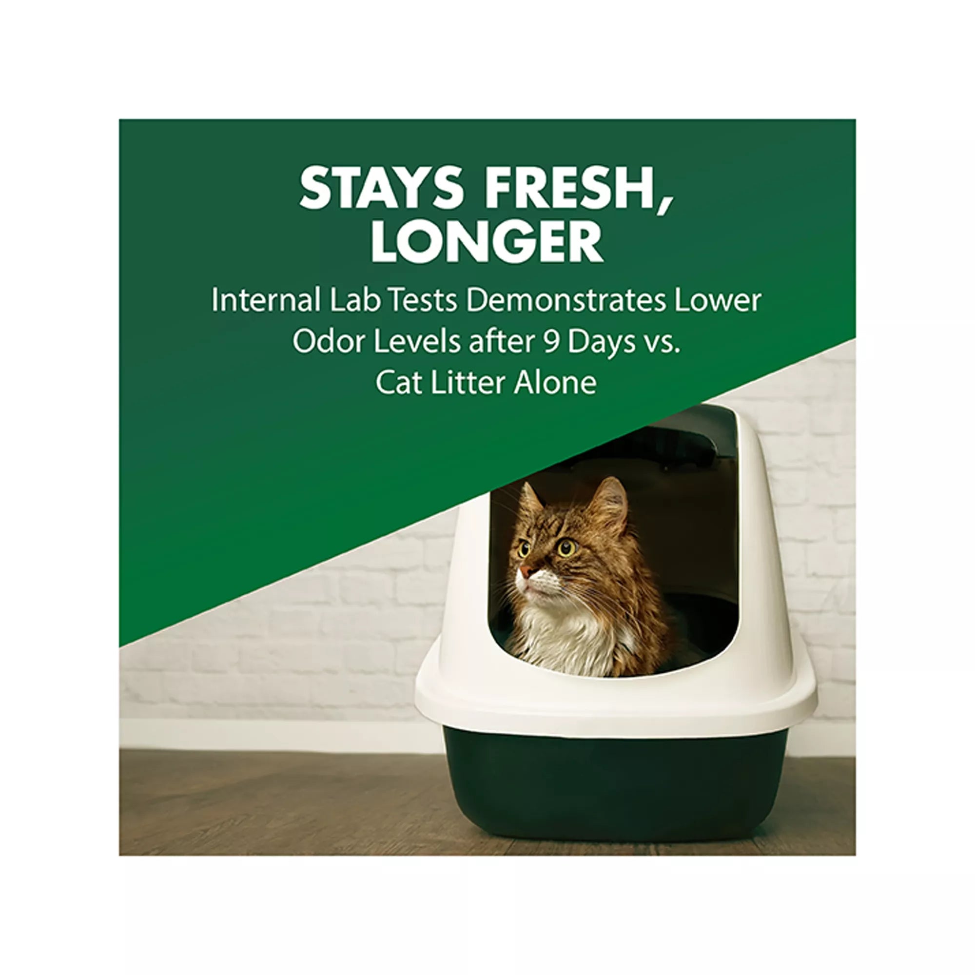 Arm & Hammer Cat Litter Deodorizer