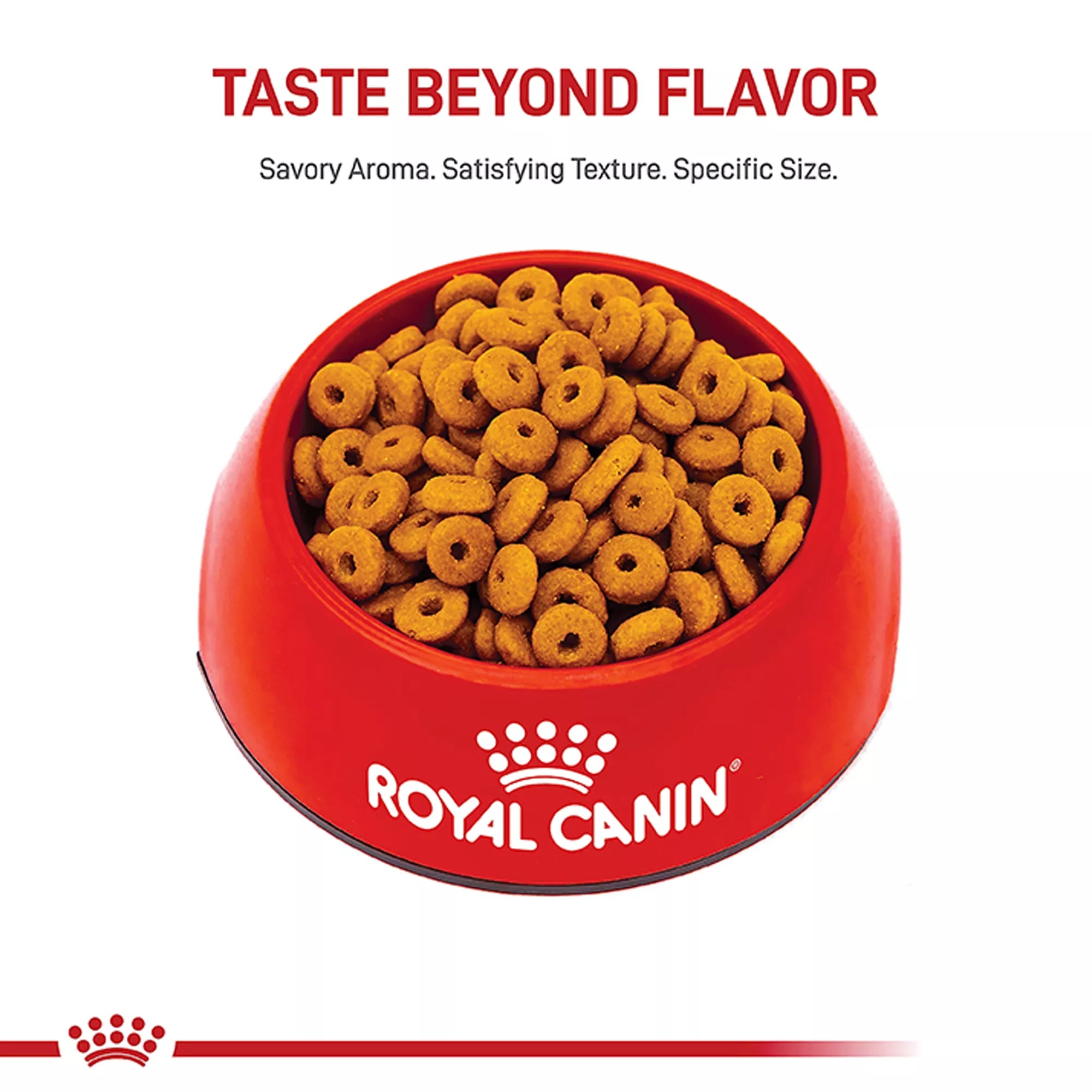 Royal Canin(R) Feline Health Nutrition Digestive Care Dry Cat Food