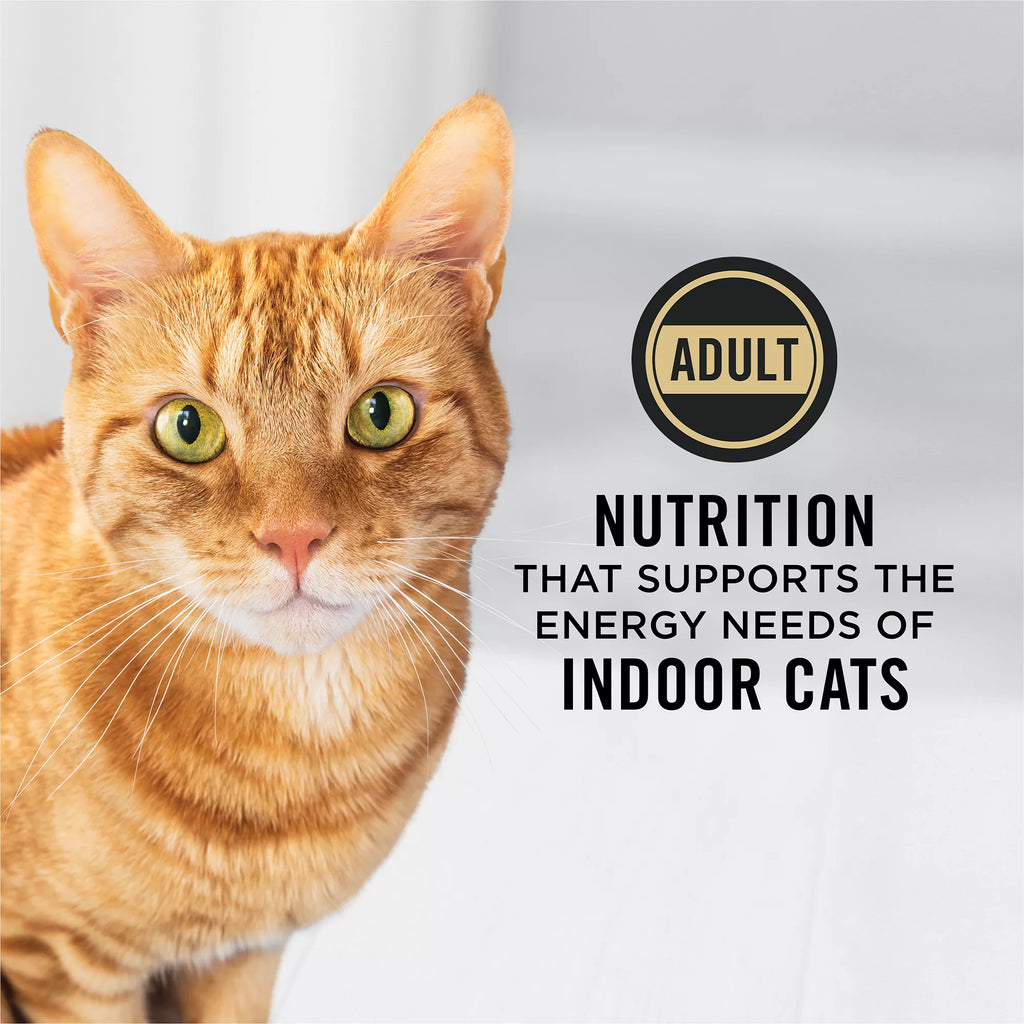 Purina Pro Plan Focus Indoor Adult Dry Cat Food - With Vitamins, High Fiber, Turkey & Rice