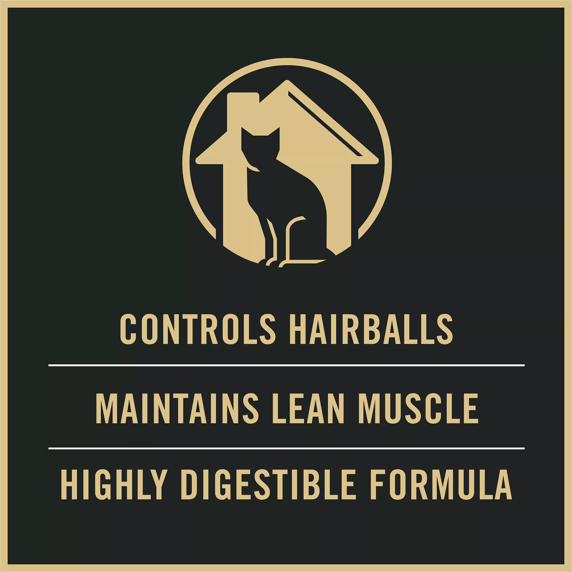 Purina Pro Plan Focus Indoor Adult Dry Cat Food - With Vitamins, High Fiber, Turkey & Rice