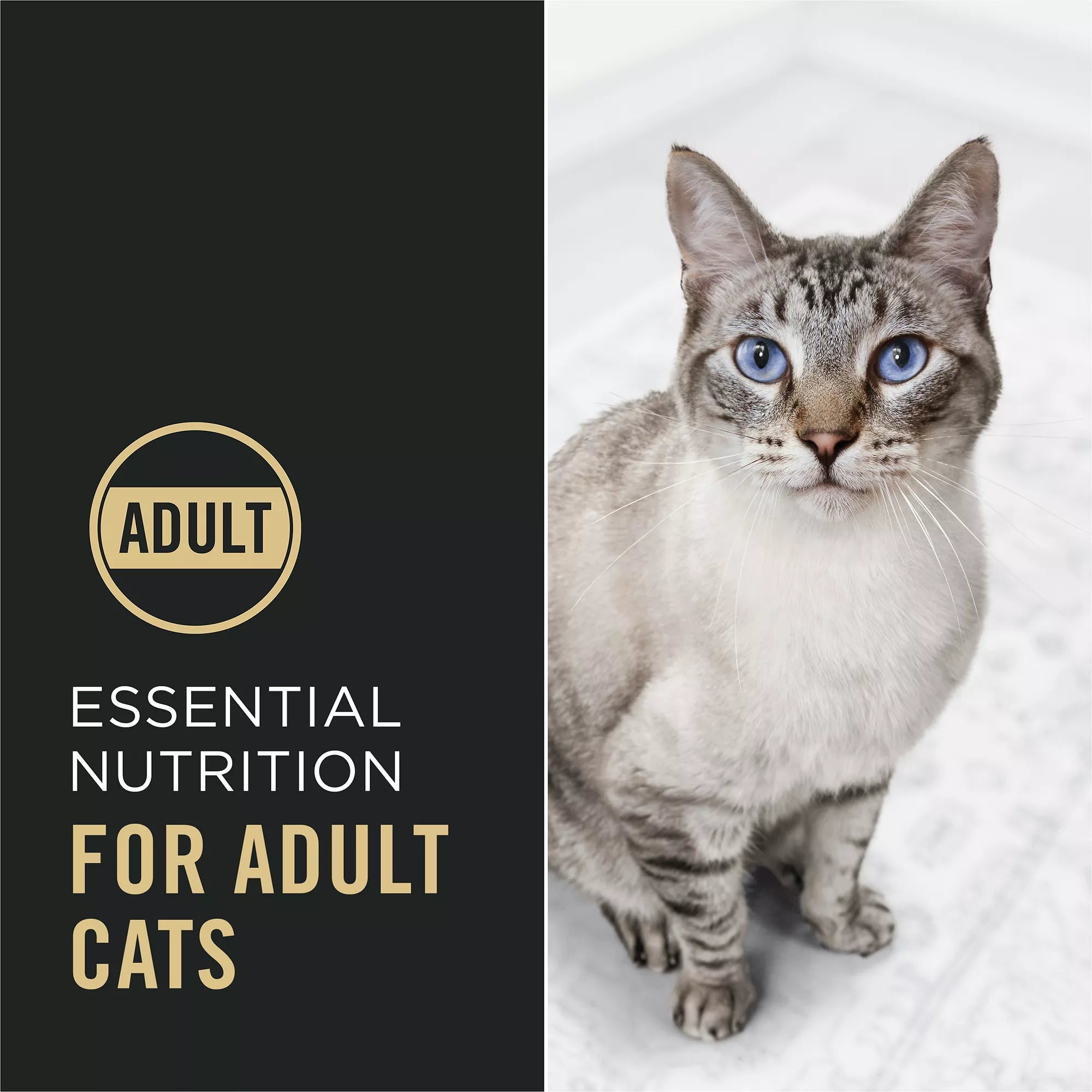Purina Pro Plan Complete Essentials Adult Dry Cat Food - With Vitamins, Probiotics, Salmon & Rice