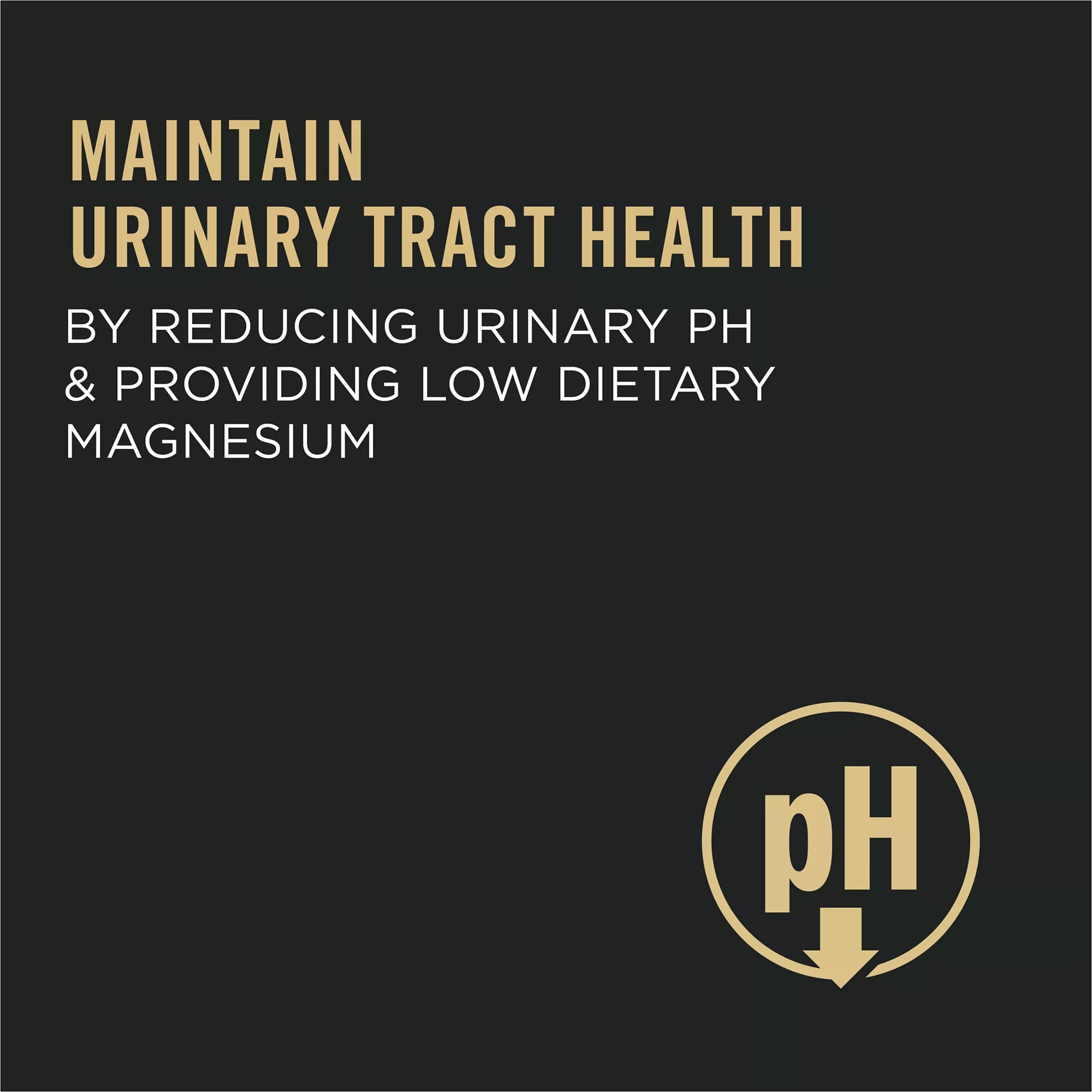 Purina Pro Plan Focus Adult Dry Cat Food - Urinary Tract Health, Chicken & Rice