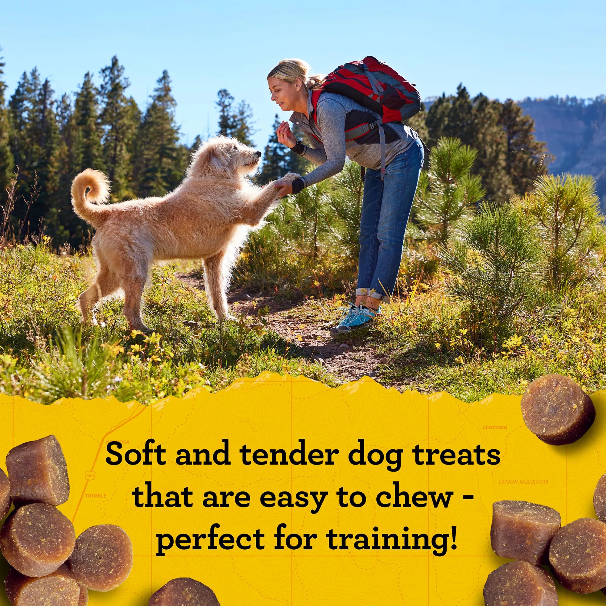 Zuke's MINI Natural Pet Foods All Life Stages Dog Treats - Corn Free, Wheat Free