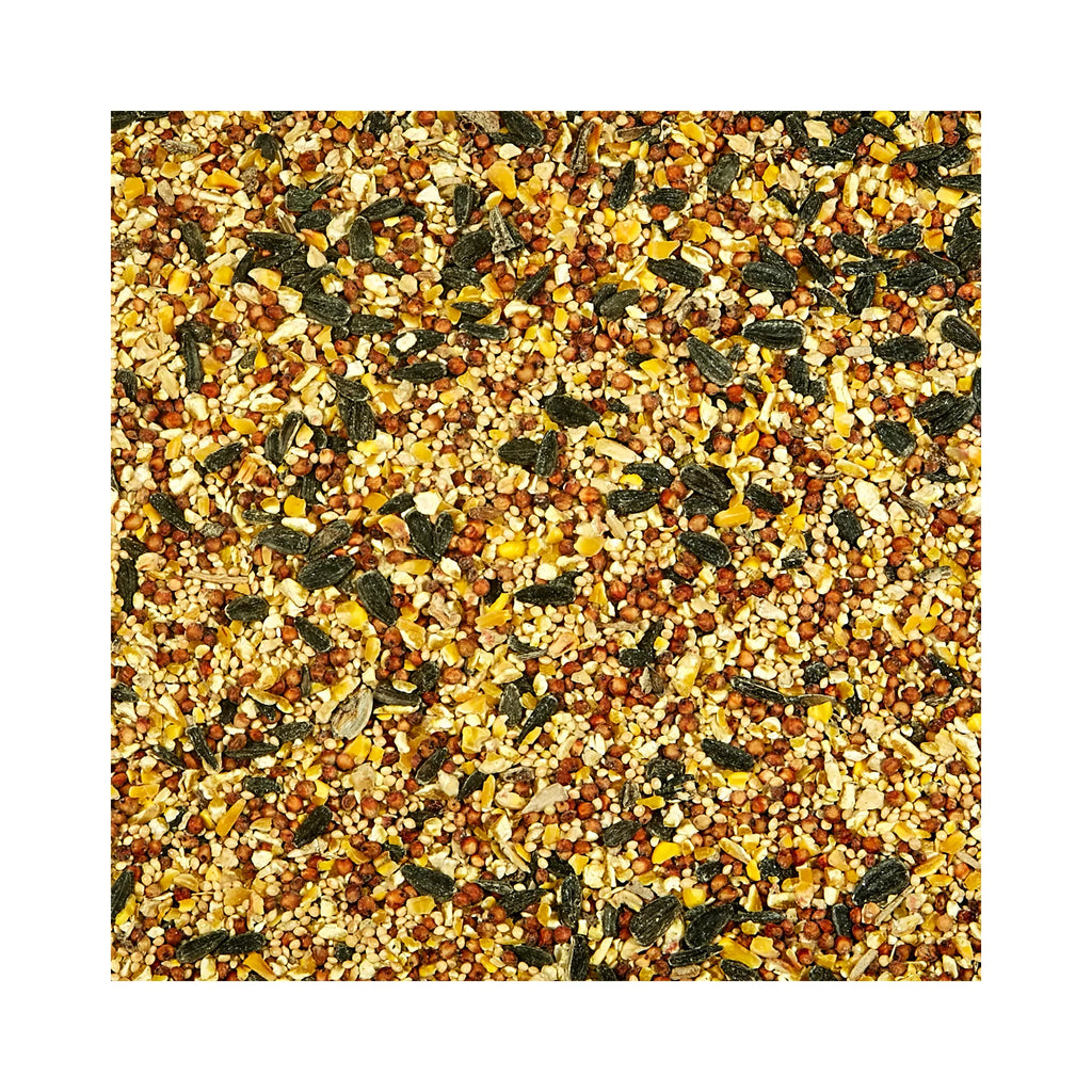 KAYTEE Wild Bird Food