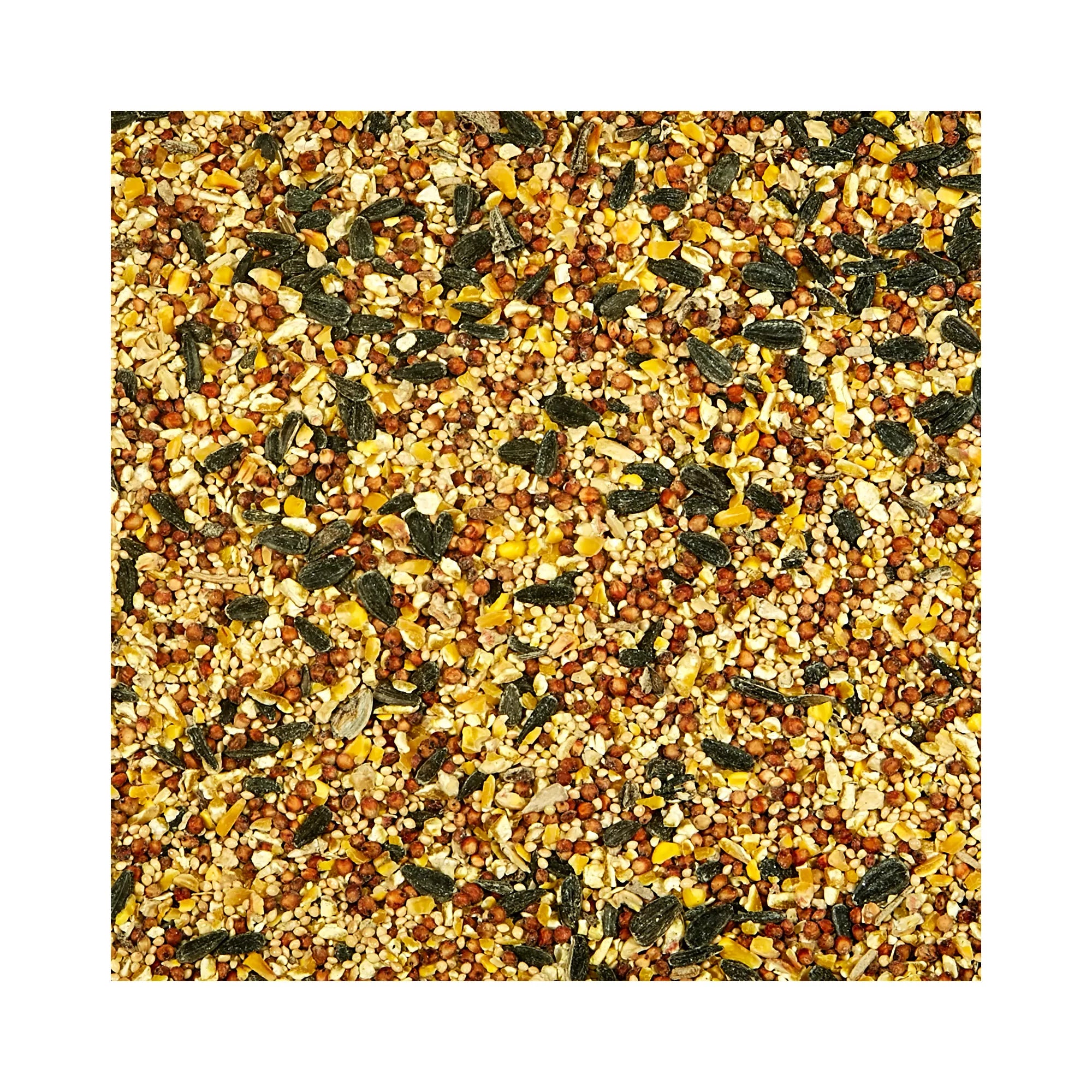 KAYTEE Wild Bird Food