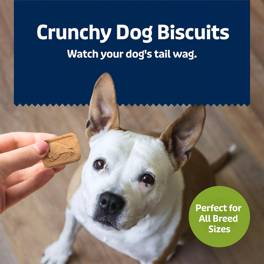 Blue Buffalo Health Bars Crunchy Adult Dog Treats - 16 oz