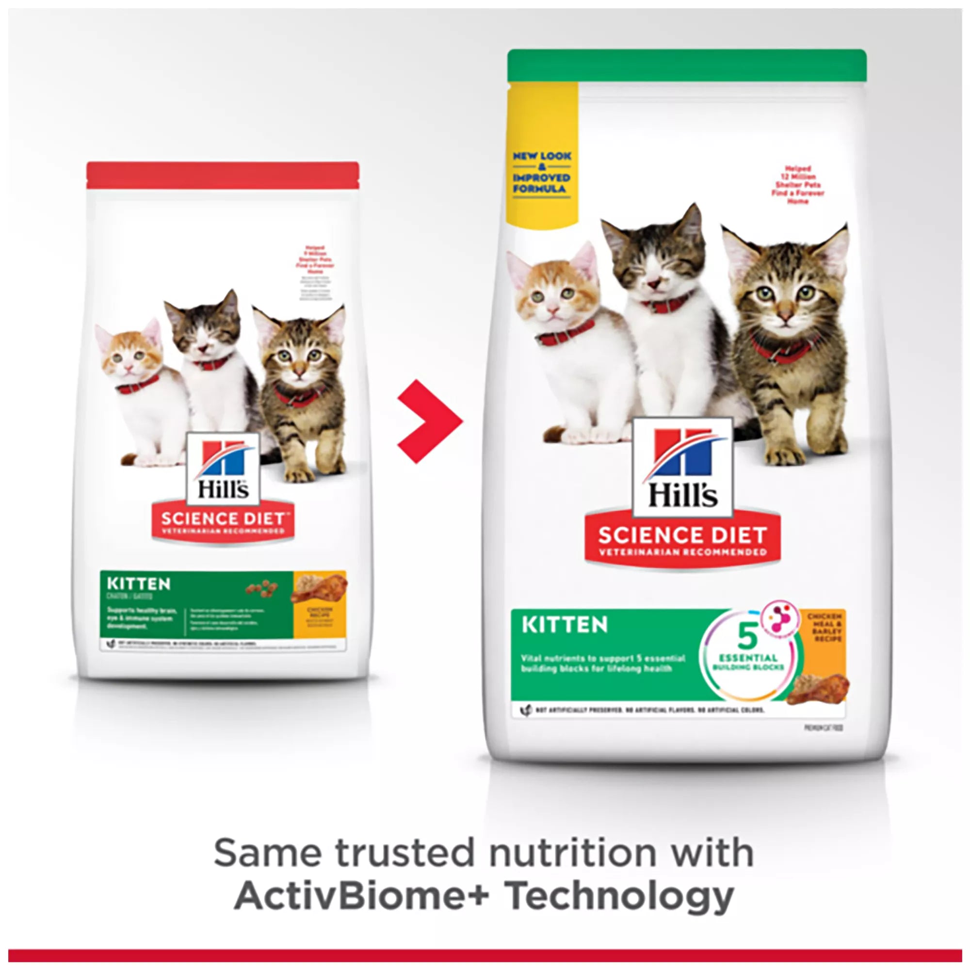 Hill's Science Diet  Kitten Dry Cat Food - Chicken