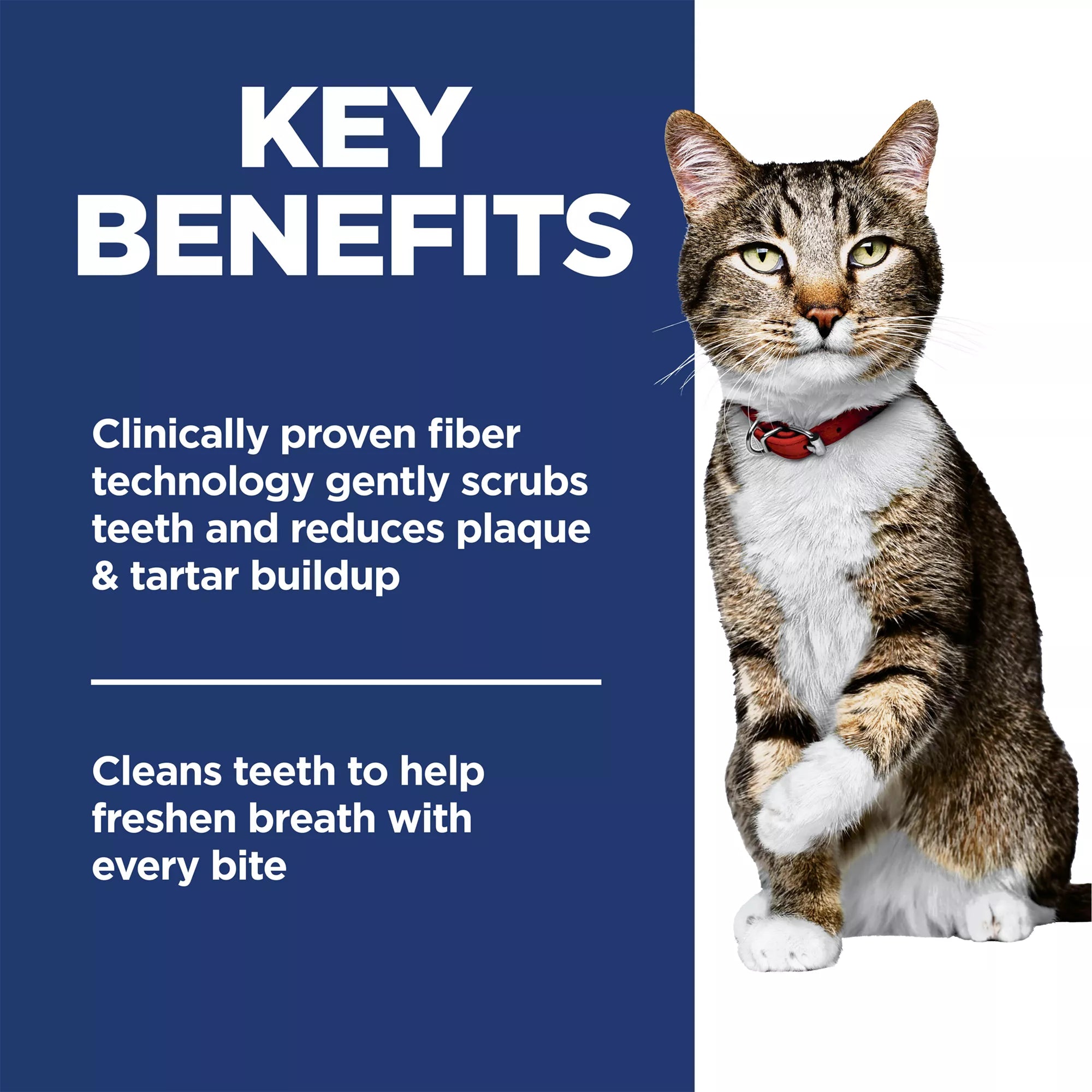 Hill's Science Diet Oral Care Adult Dry Cat Food - Chicken