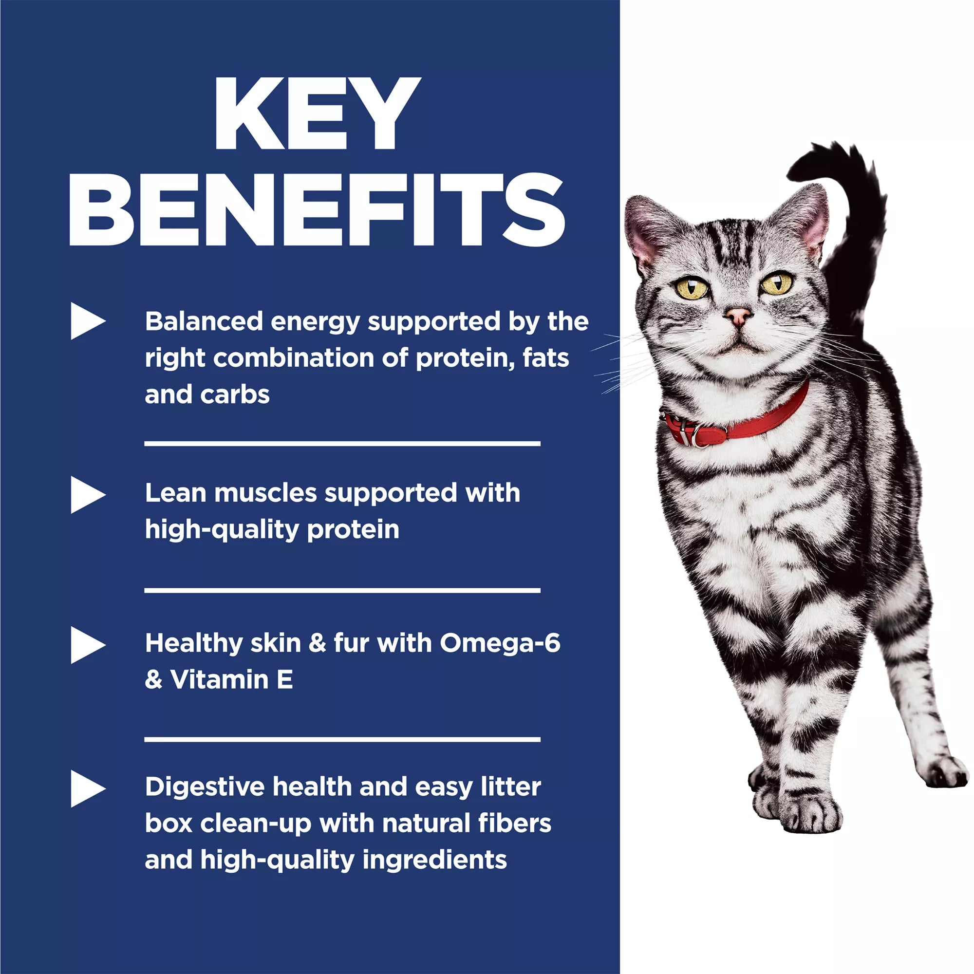Hill's Science Diet Indoor Adult Dry Cat Food - Chicken