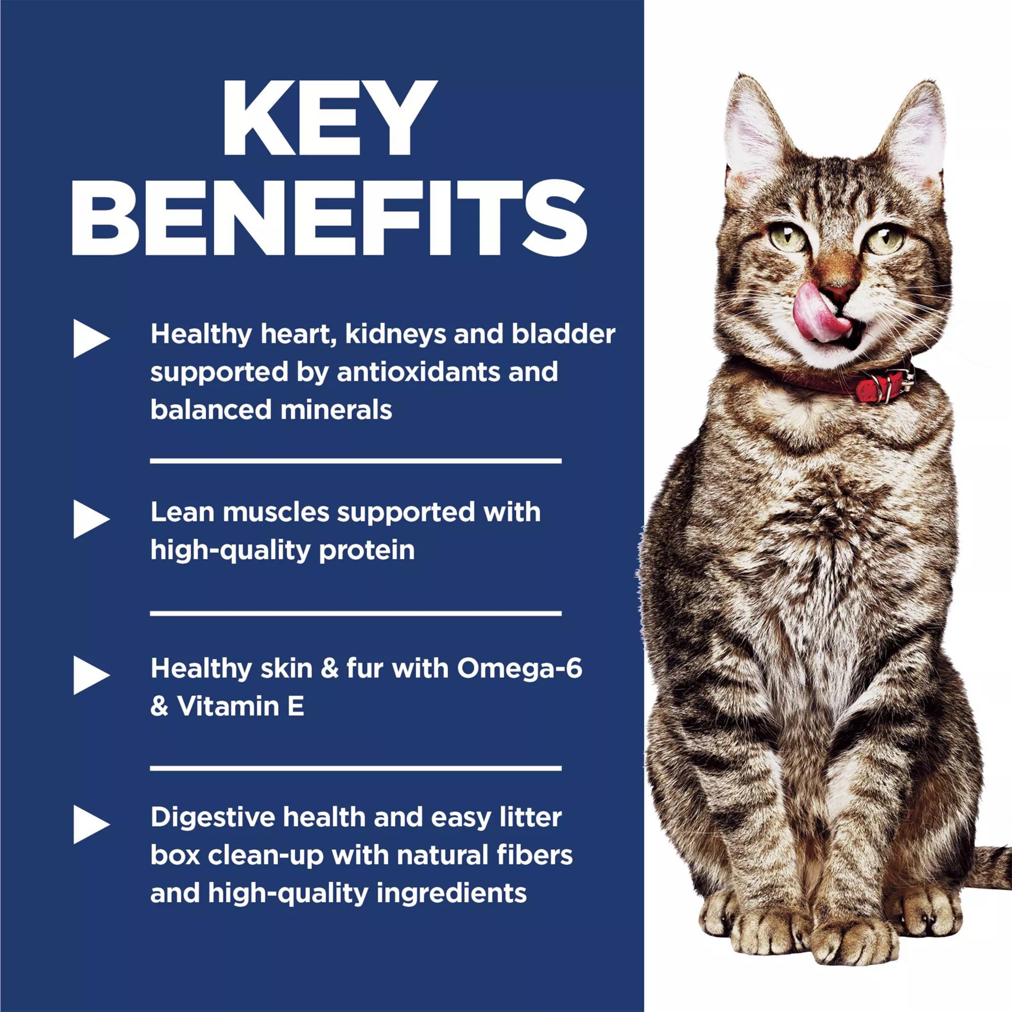 Hill's Science Diet Indoor Adult Senior 7+ Dry Cat Food - Chicken