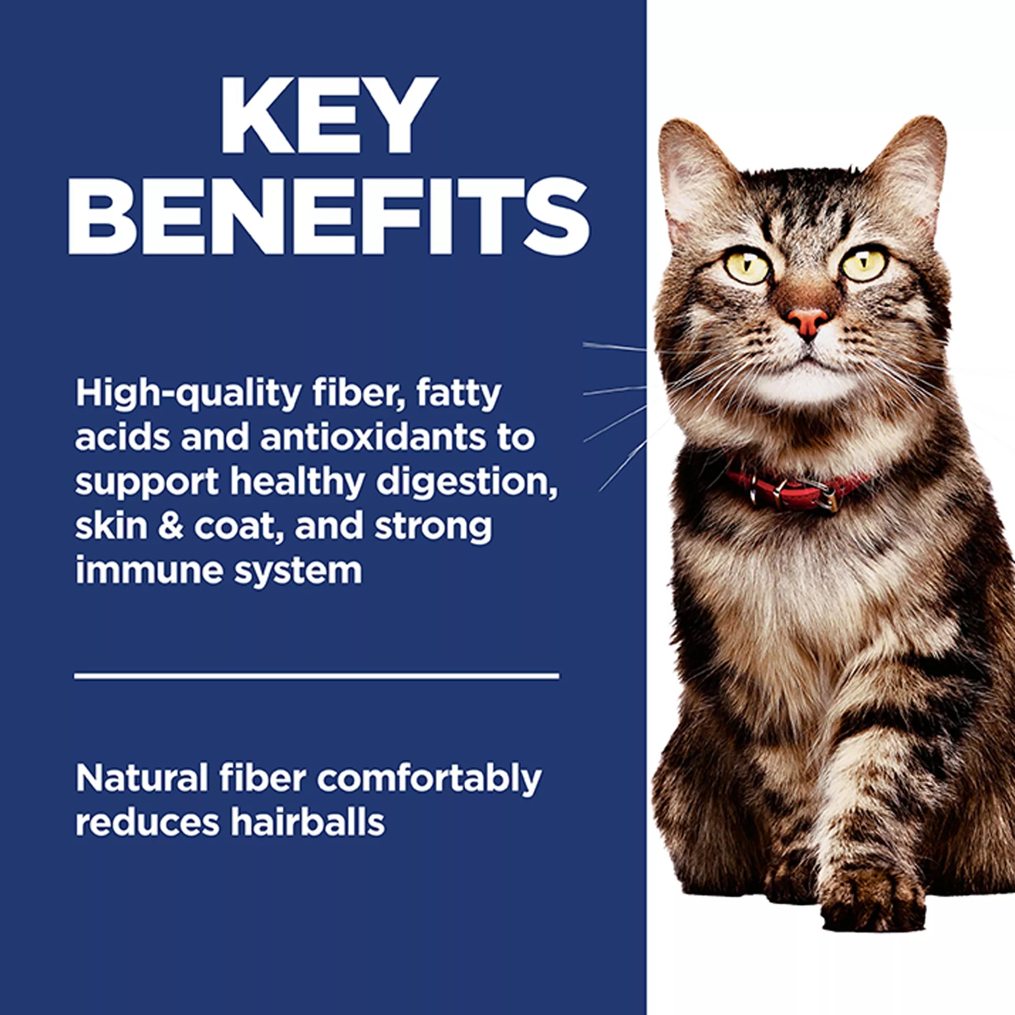 Hill's Science Diet Hairball Control Adult Senior 7+ Dry Cat Food - Chicken