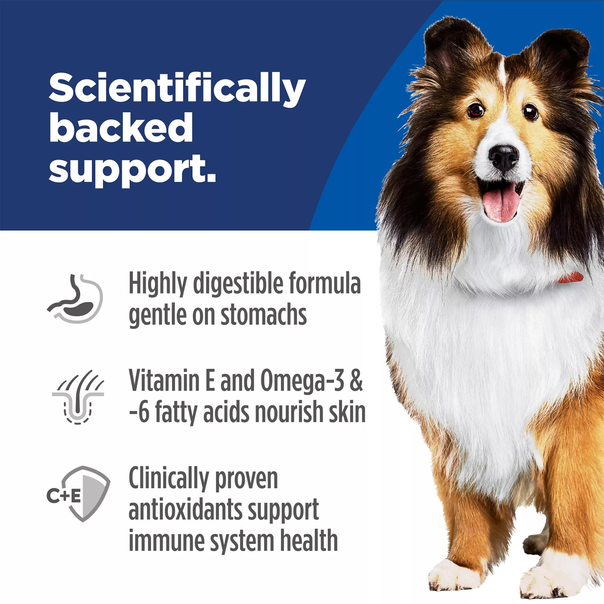 Hill's Science Diet Sensitive Skin & Stomach Food Adult Dog Food - Dry - Chicken & Barley