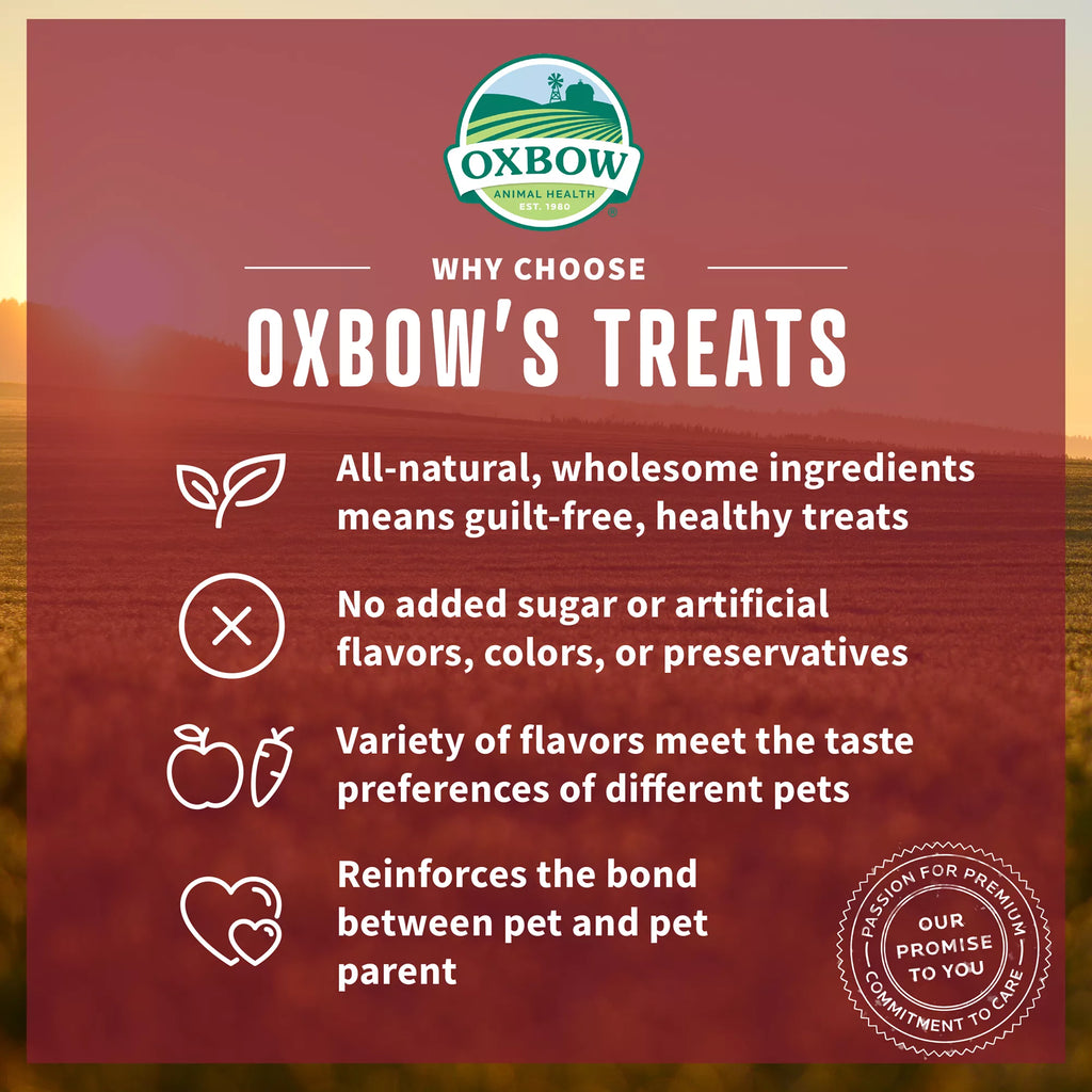 Oxbow Simple Rewards Baked Small Pet Treats - Veggie