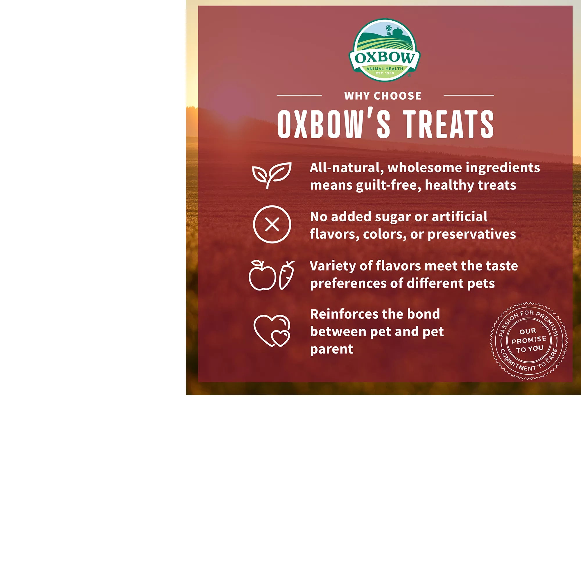 Oxbow Simple Rewards Baked Small Pet Treats - Veggie