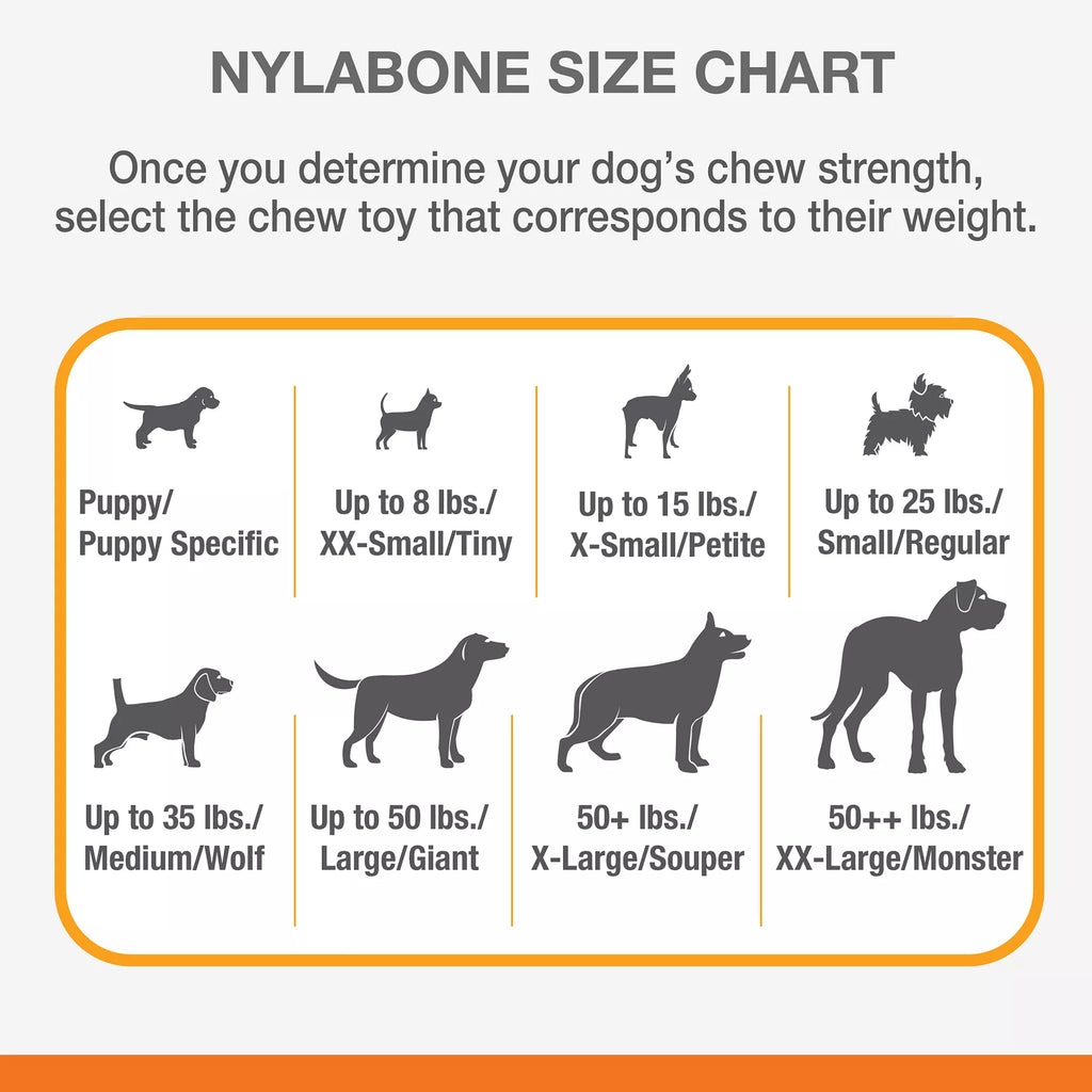 Nylabone Puppy Ring Chew Dog Toy