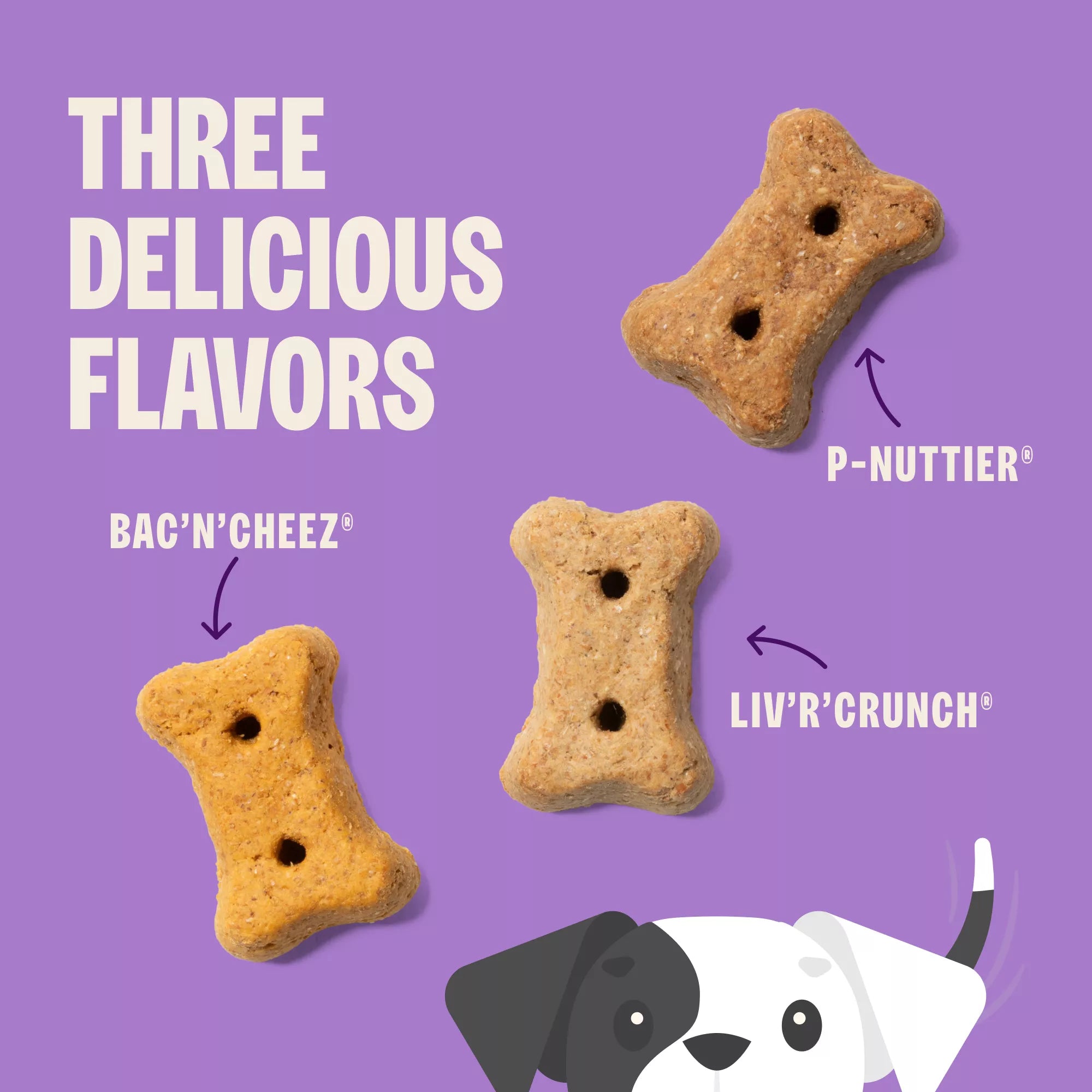 Old Mother Hubbard Extra Tasty Assorted Dog Treats, Mini