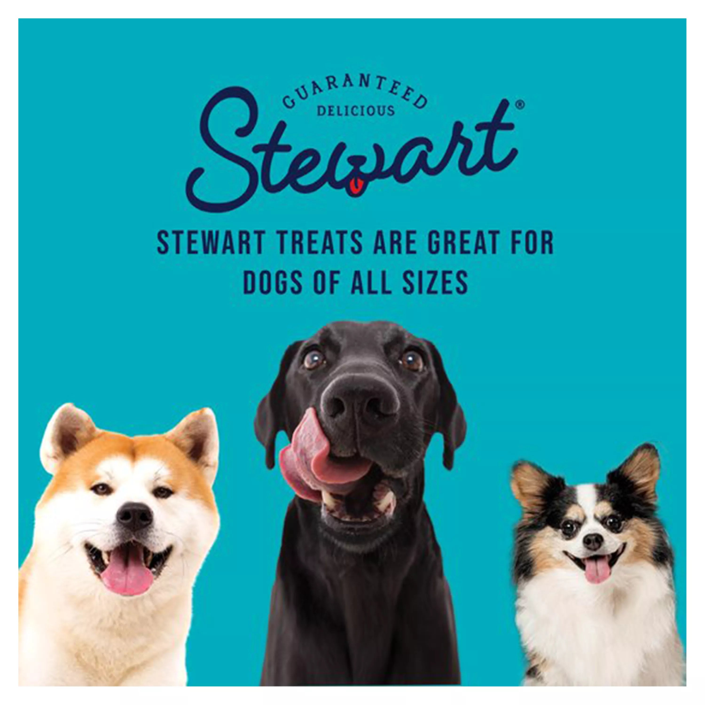 Stewart Freeze Dried Dog Training Treat