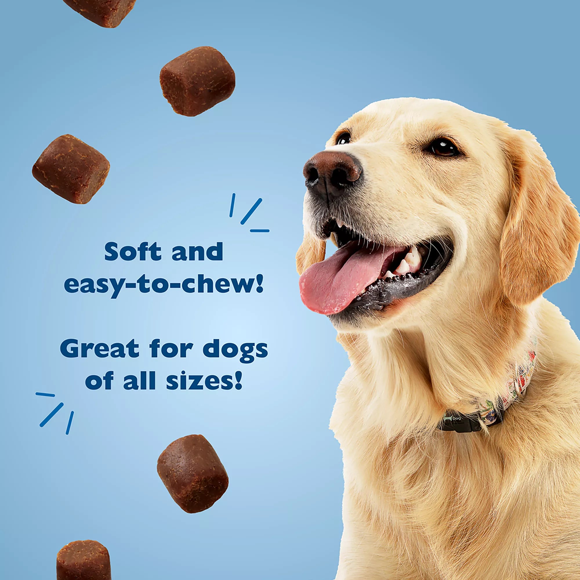 Bil-Jac Original Recipe Dog Treat