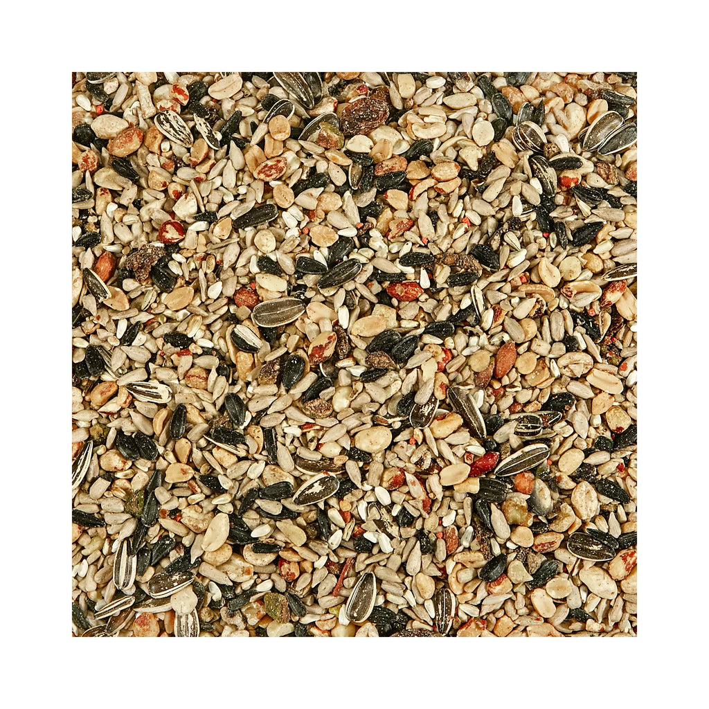 KAYTEE Nut & Fruit Blend Wild Bird Food