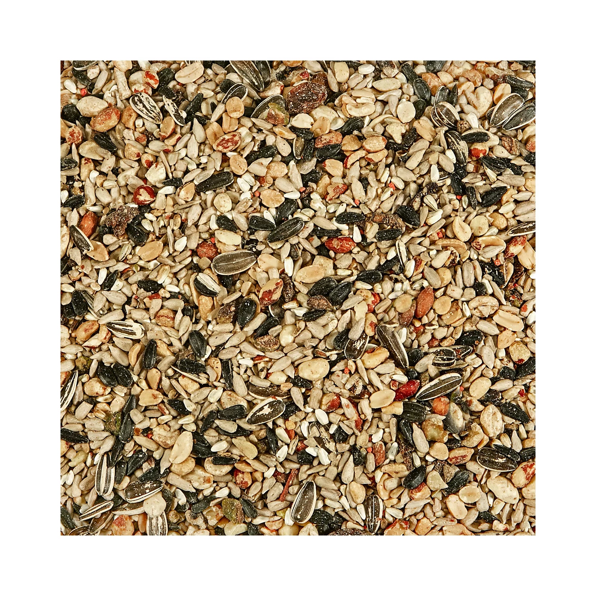 KAYTEE Nut & Fruit Blend Wild Bird Food