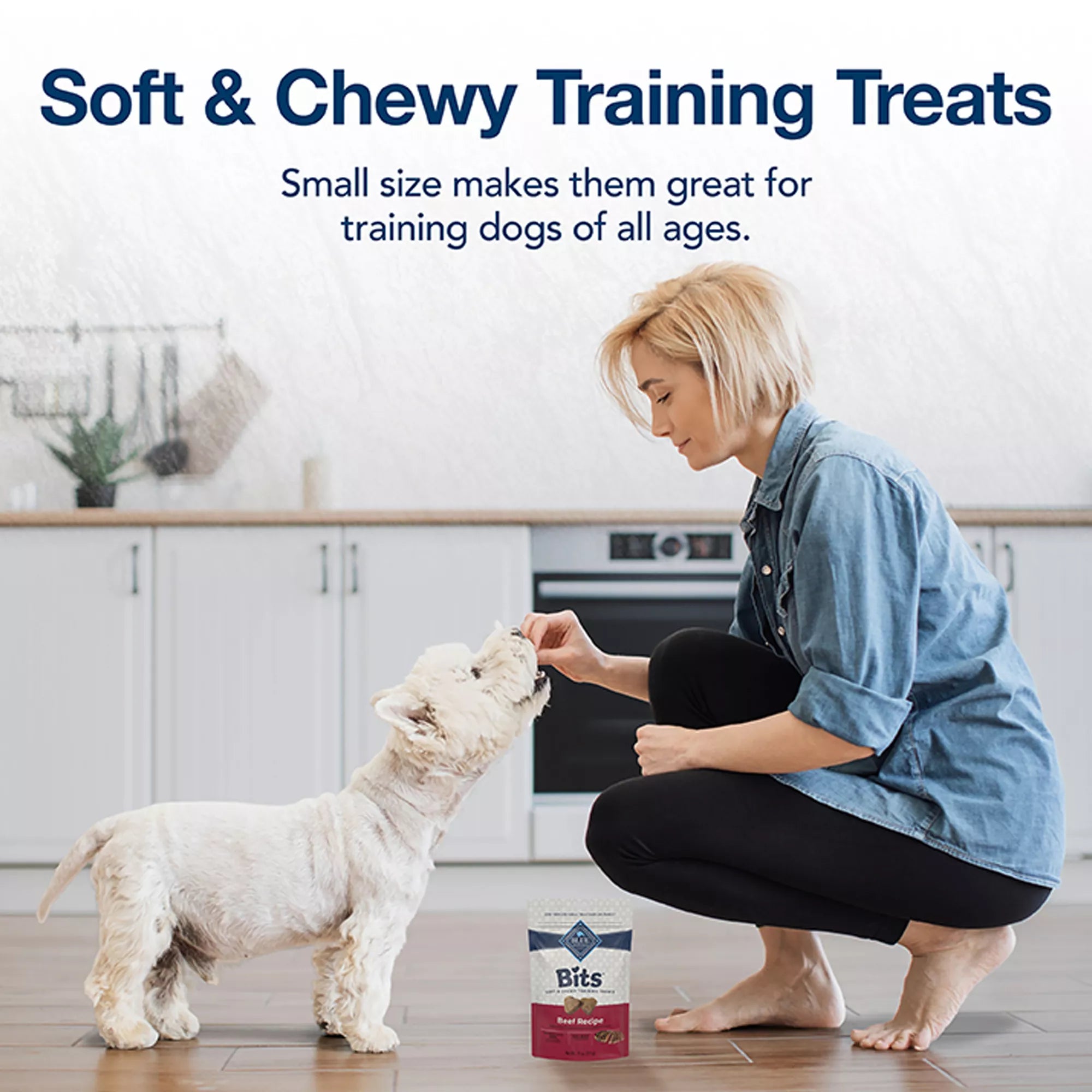 Blue Buffalo Bits Soft & Chewy Puppy Training Treats - 4 oz