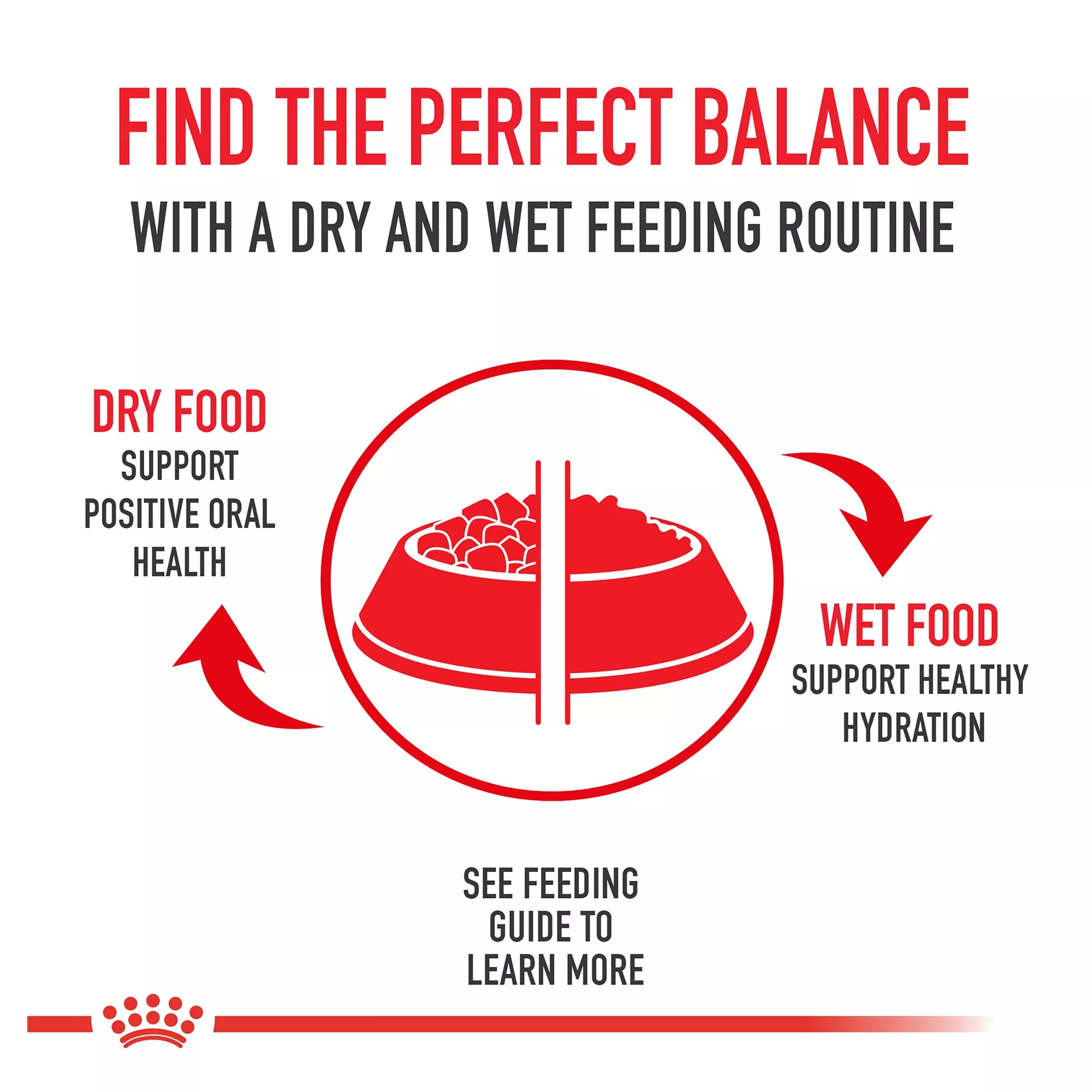 Royal Canin Feline Breed Nutrition Persian Breed Adult Dry Cat Food