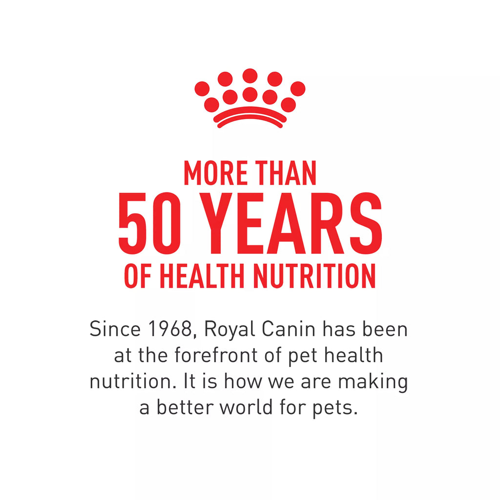 Royal Canin Feline Breed Nutrition Persian Breed Adult Dry Cat Food