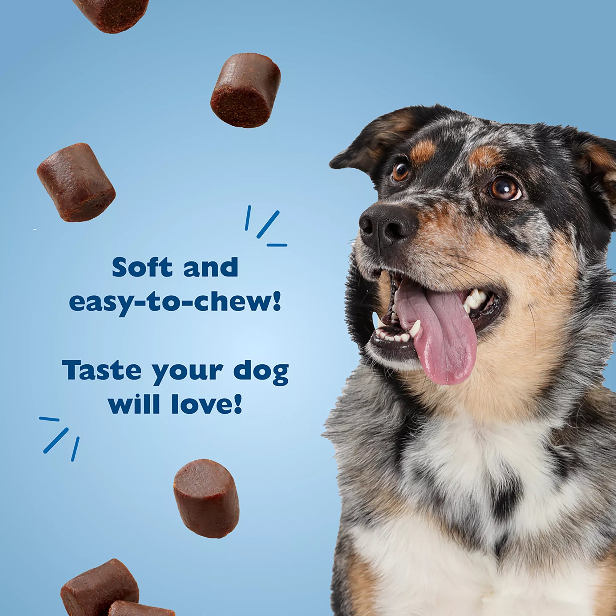 Bil-Jac PBnanas Peanut Butter & Banana Soft Dog Treat