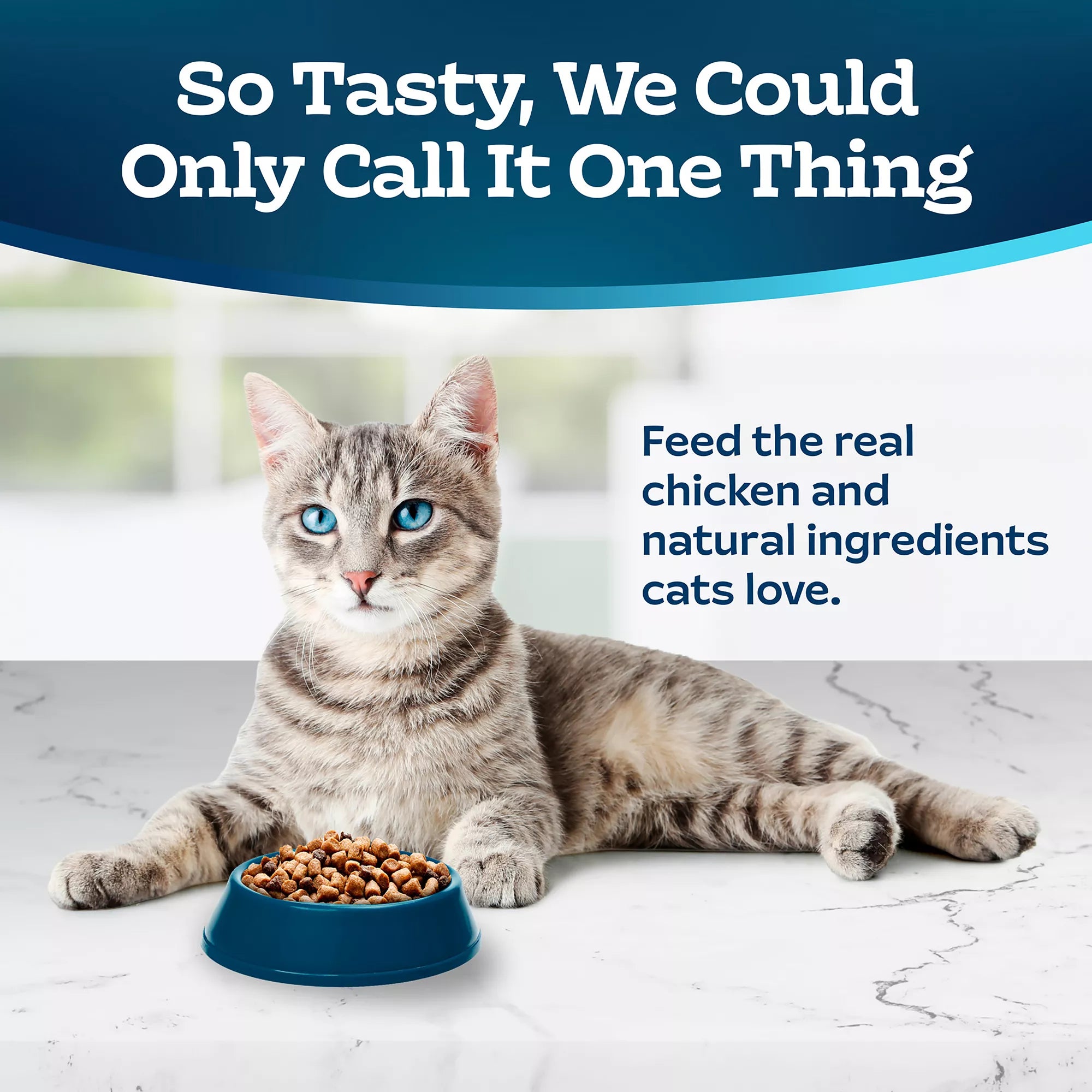 Blue Buffalo Life Protection Formula  Adult Dry Cat Food - Natural Pet Food, Chicken