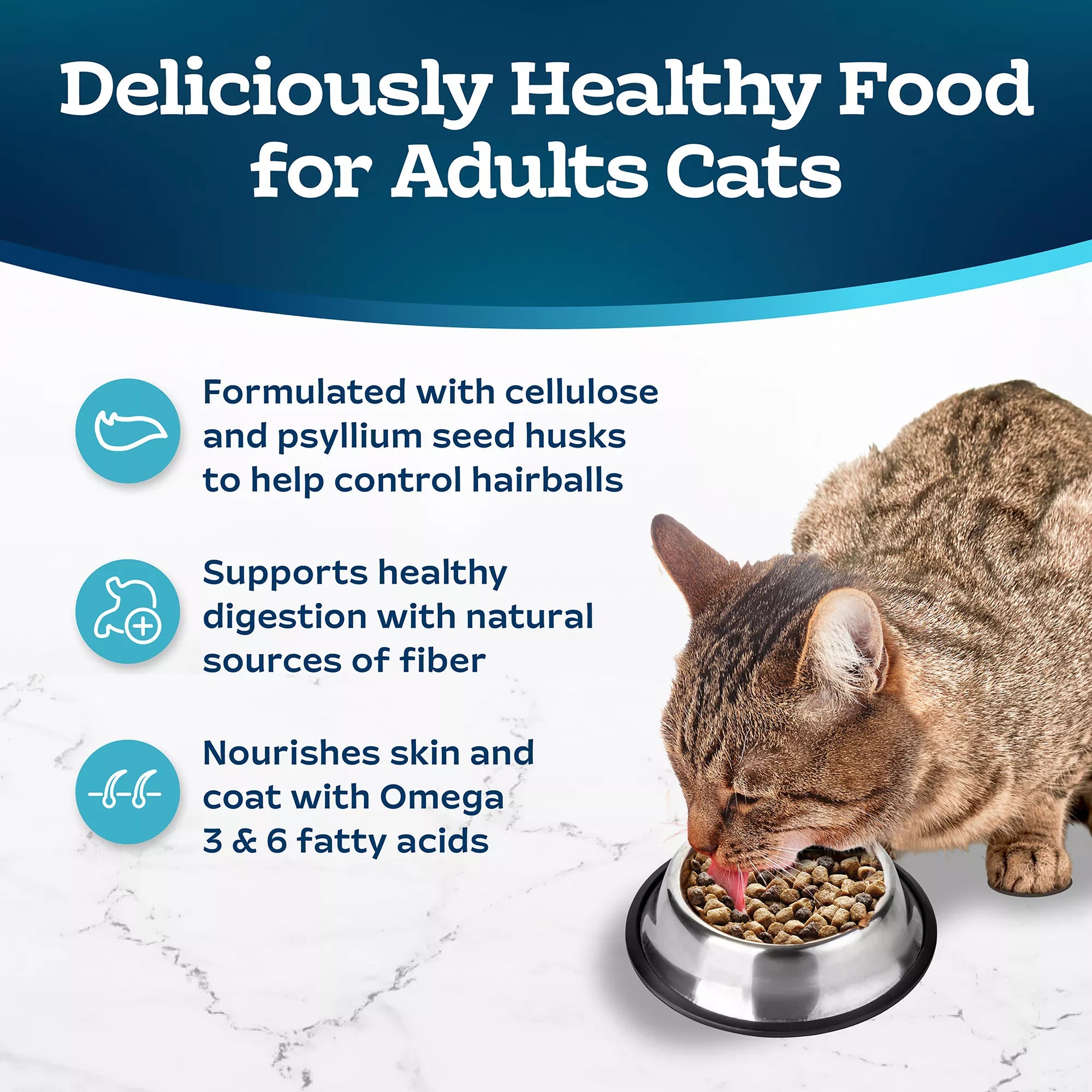 Blue Buffalo Life Protection Formula  Adult Dry Cat Food - Natural Pet Food, Chicken