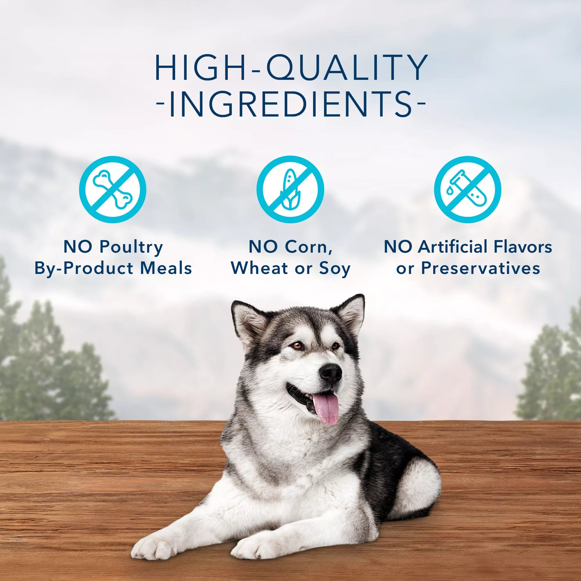 Blue Buffalo Wilderness Wild Bits Adult Dog Treats - Grain-Free Pet Food, Chicken