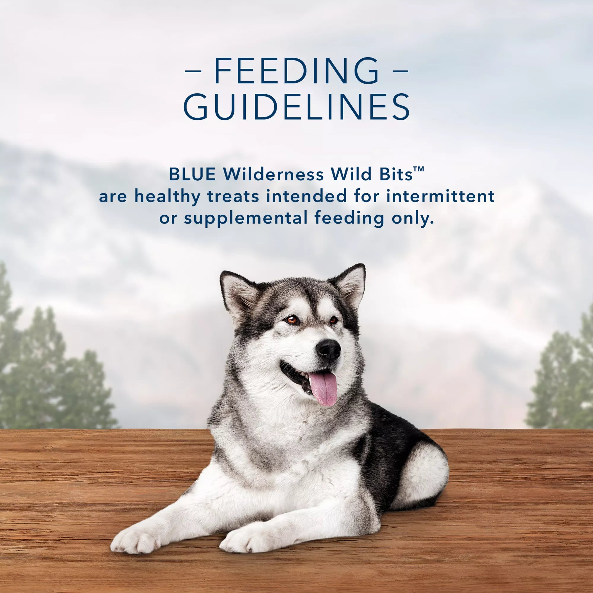 Blue Buffalo Wilderness Wild Bits Adult Dog Treats - Grain-Free Pet Food, Chicken