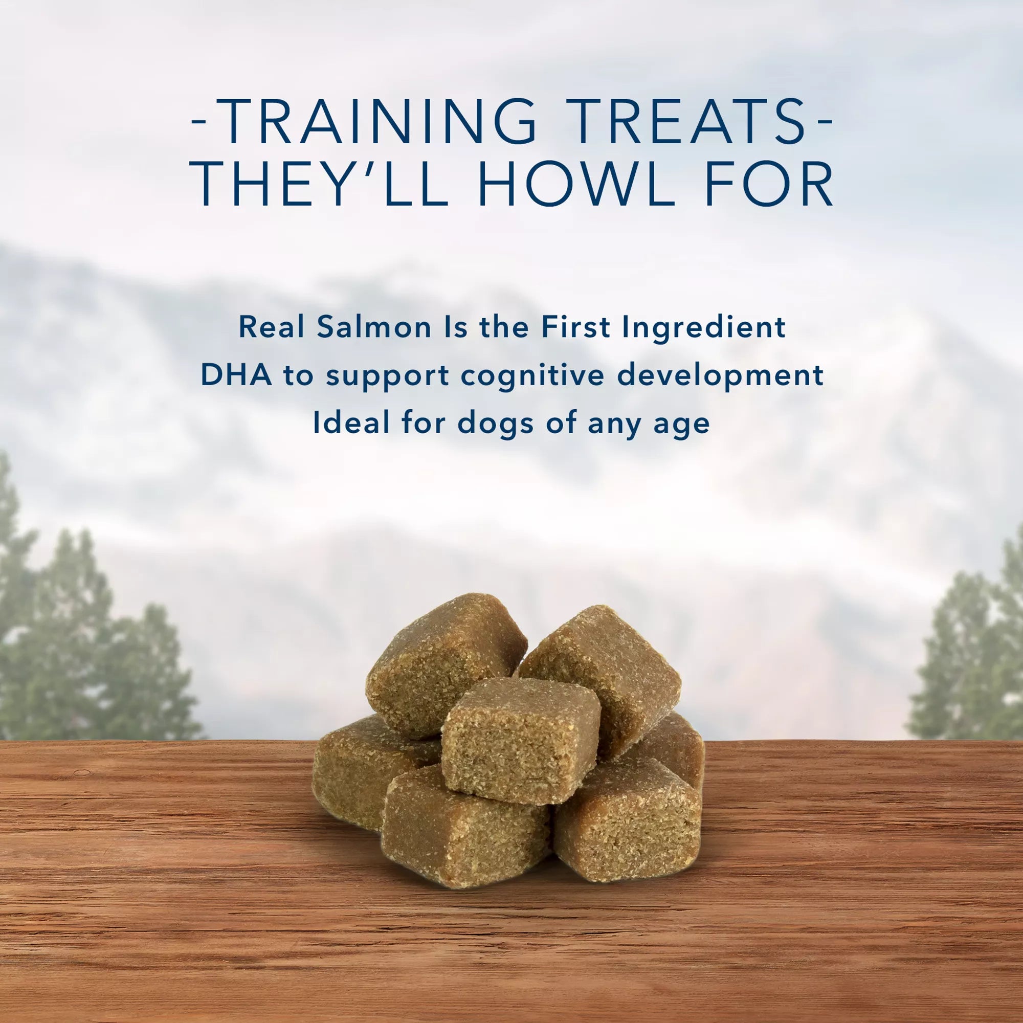 Blue Buffalo Wilderness Wild Bits Adult Dog Treats - Grain-Free Pet Food, Salmon